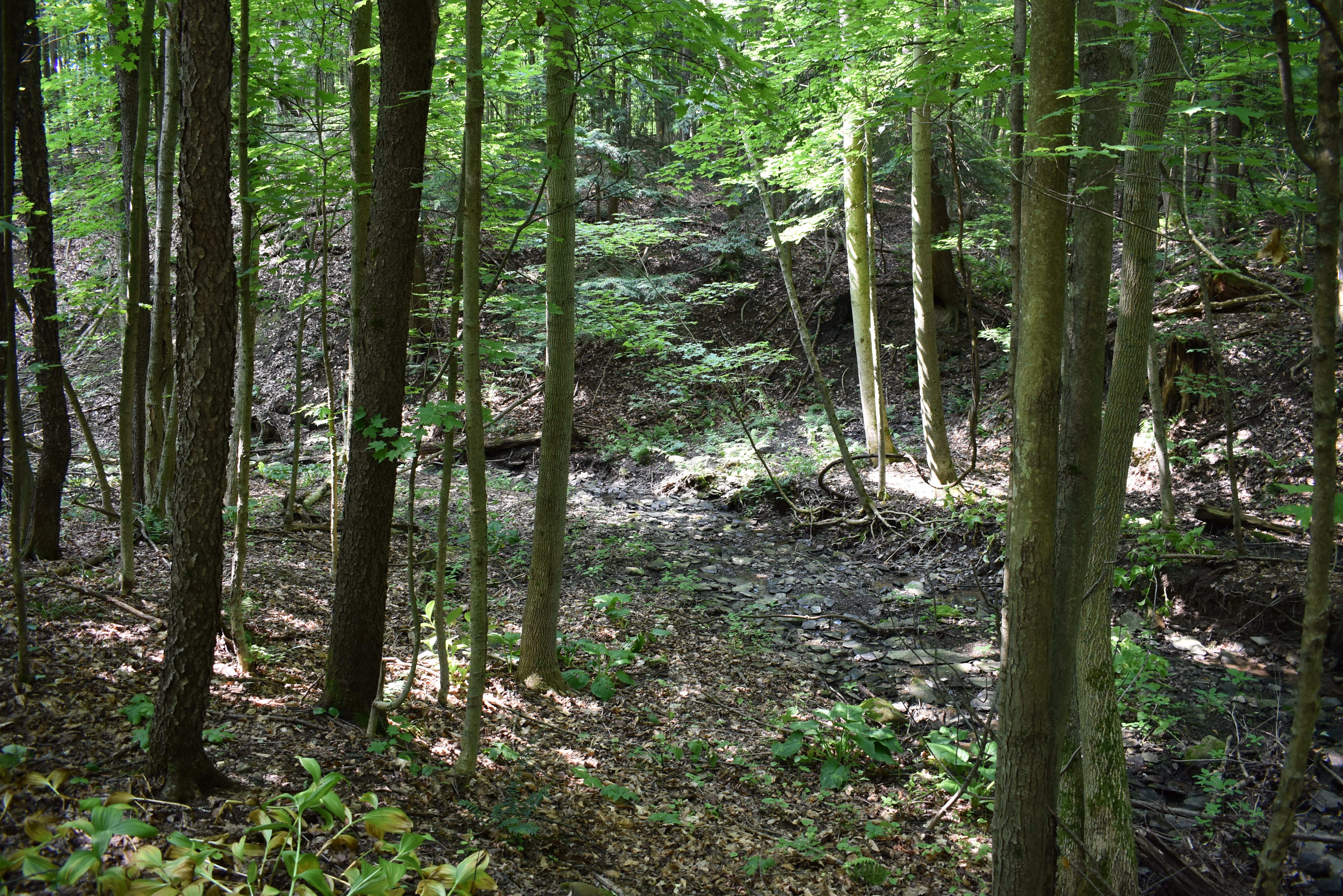 Listing Image 76