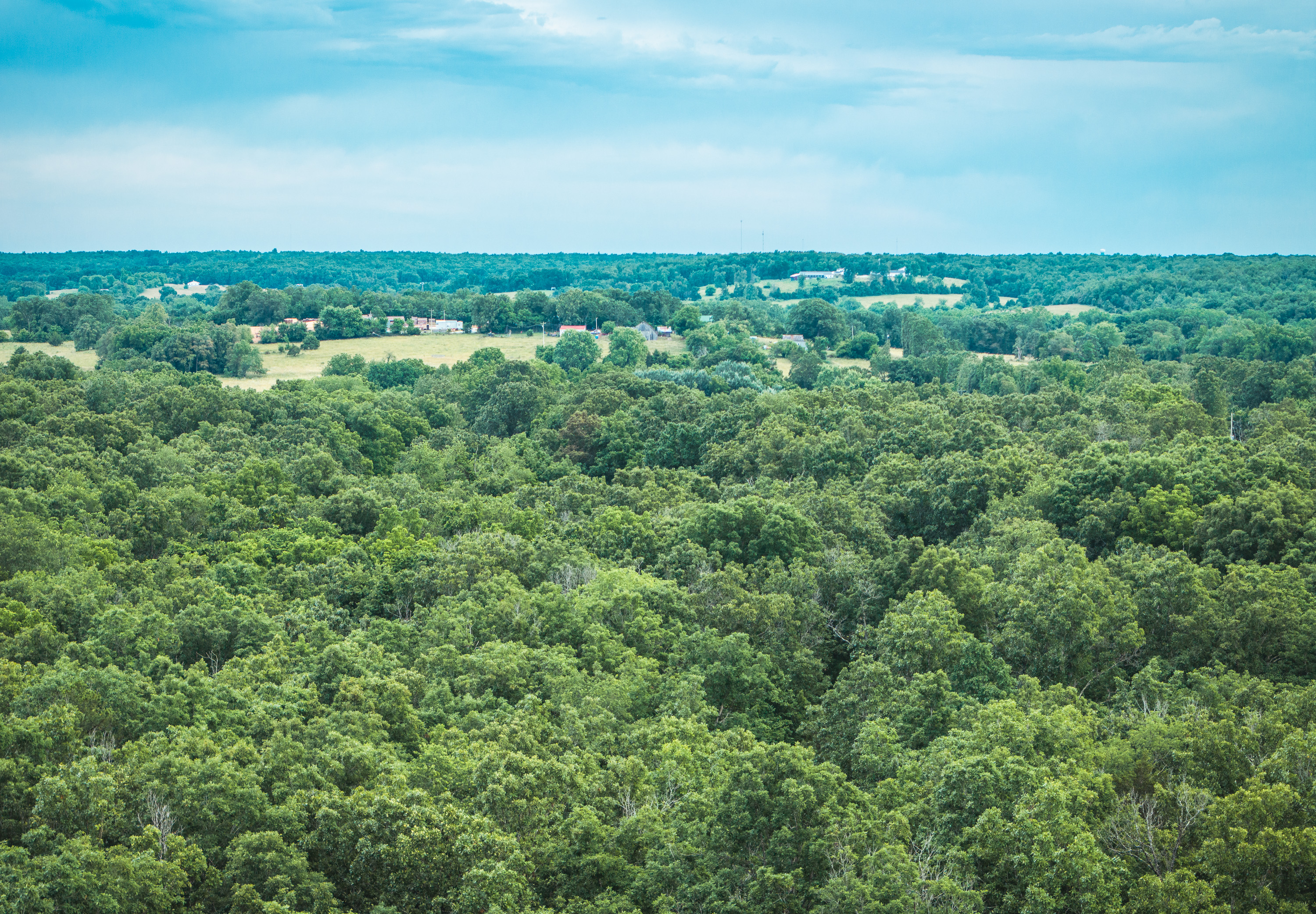 Kimble Glade