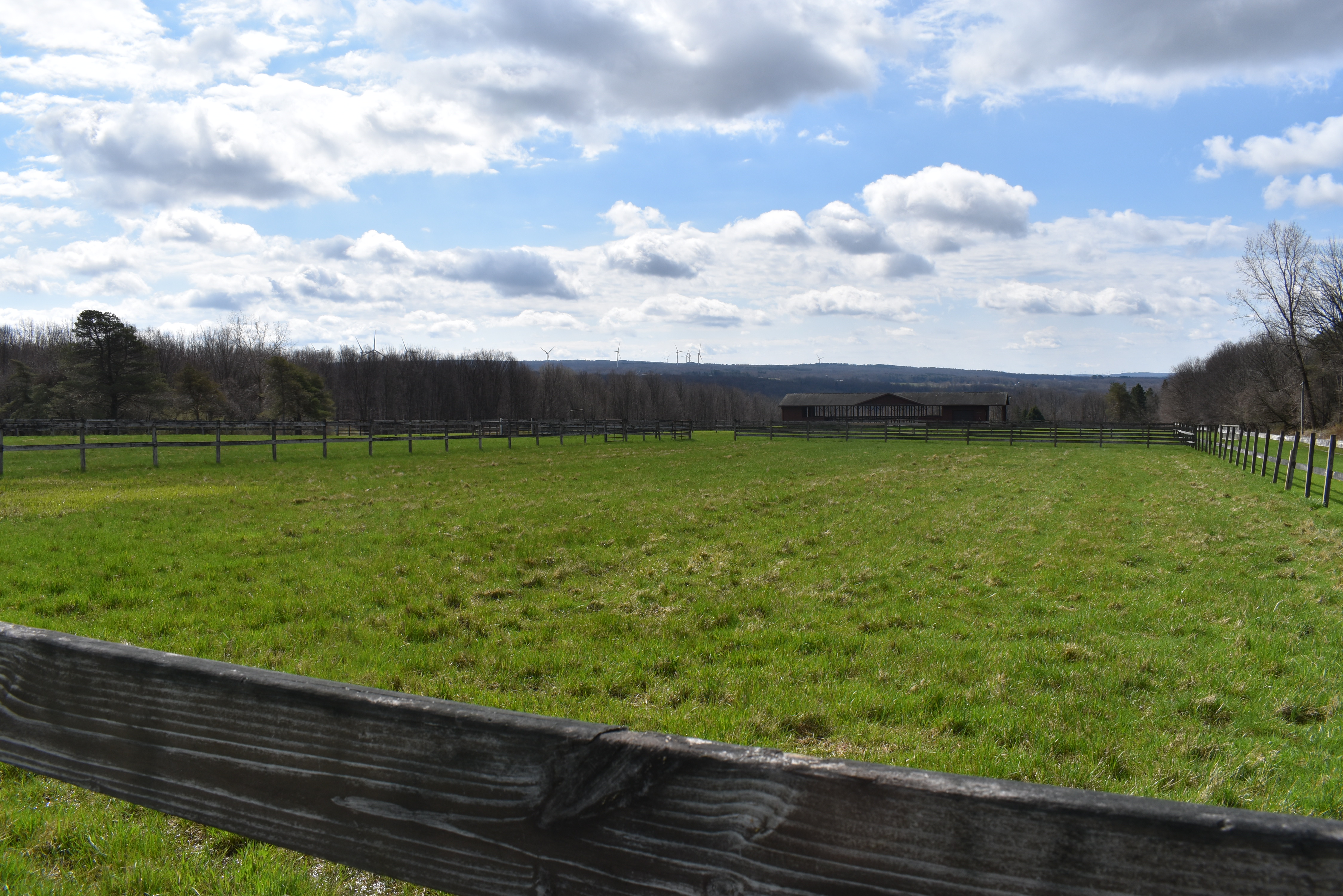 Listing Image 84