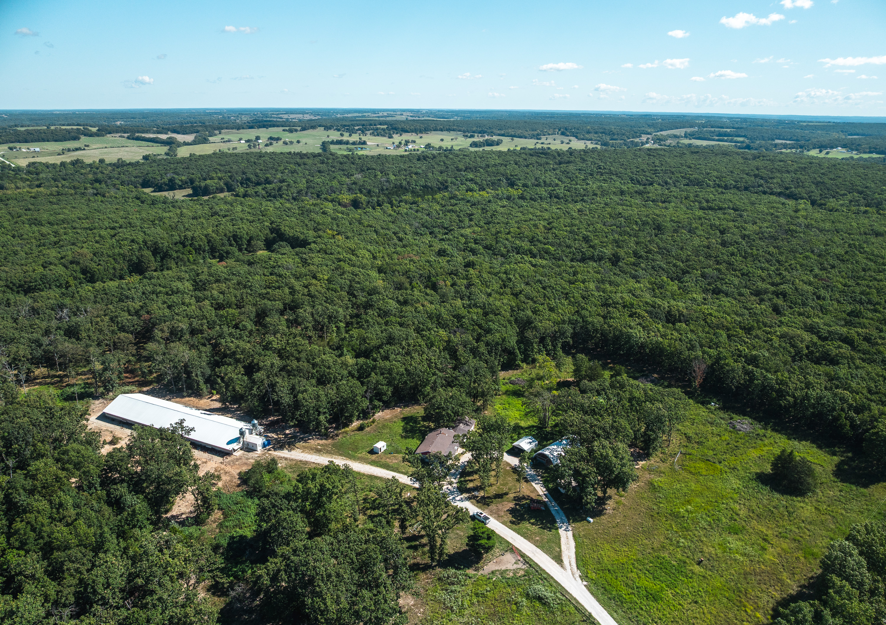 Cage Free Chicken Farm