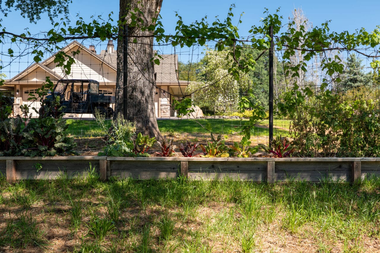Listing Image 90