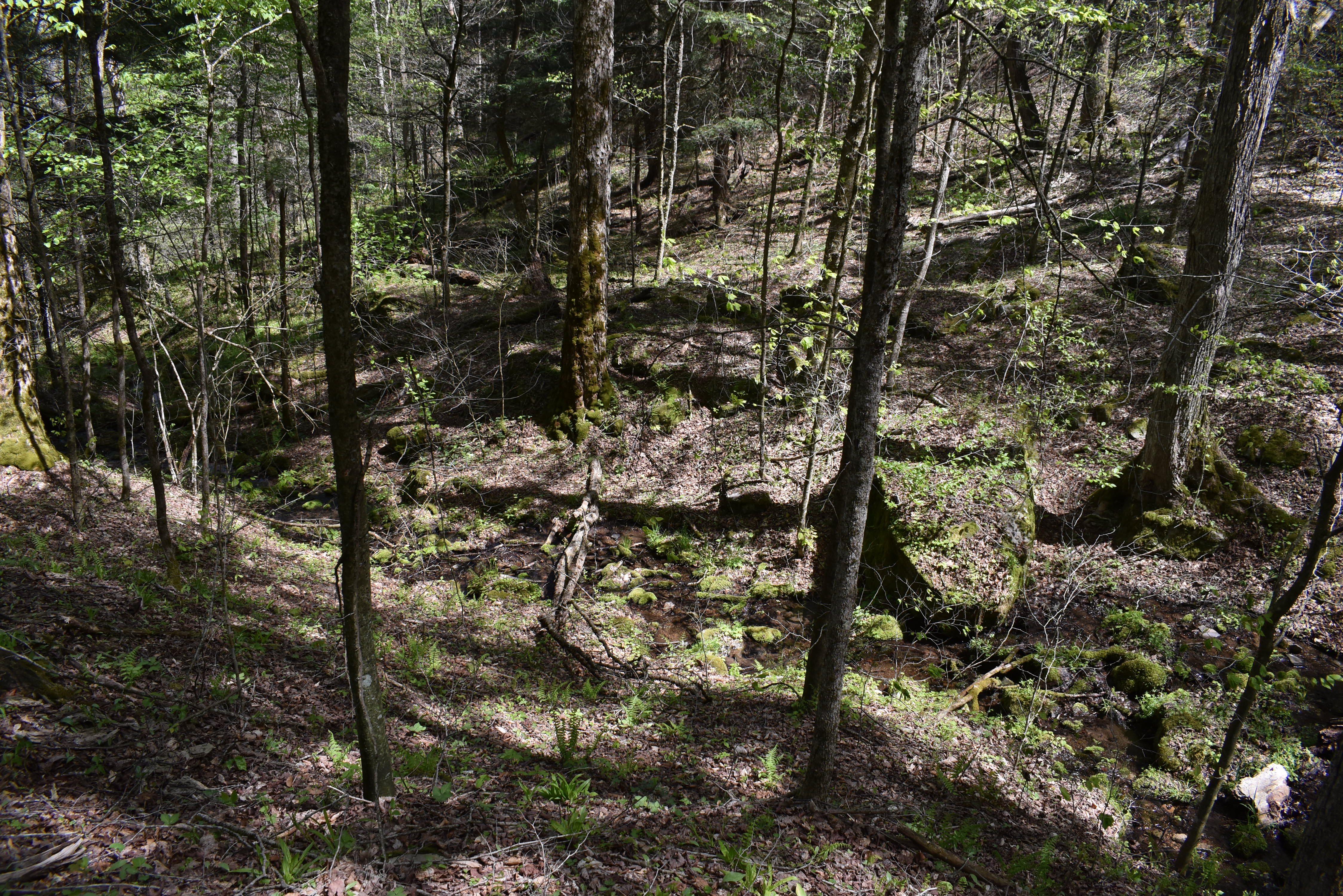 Listing Image 24