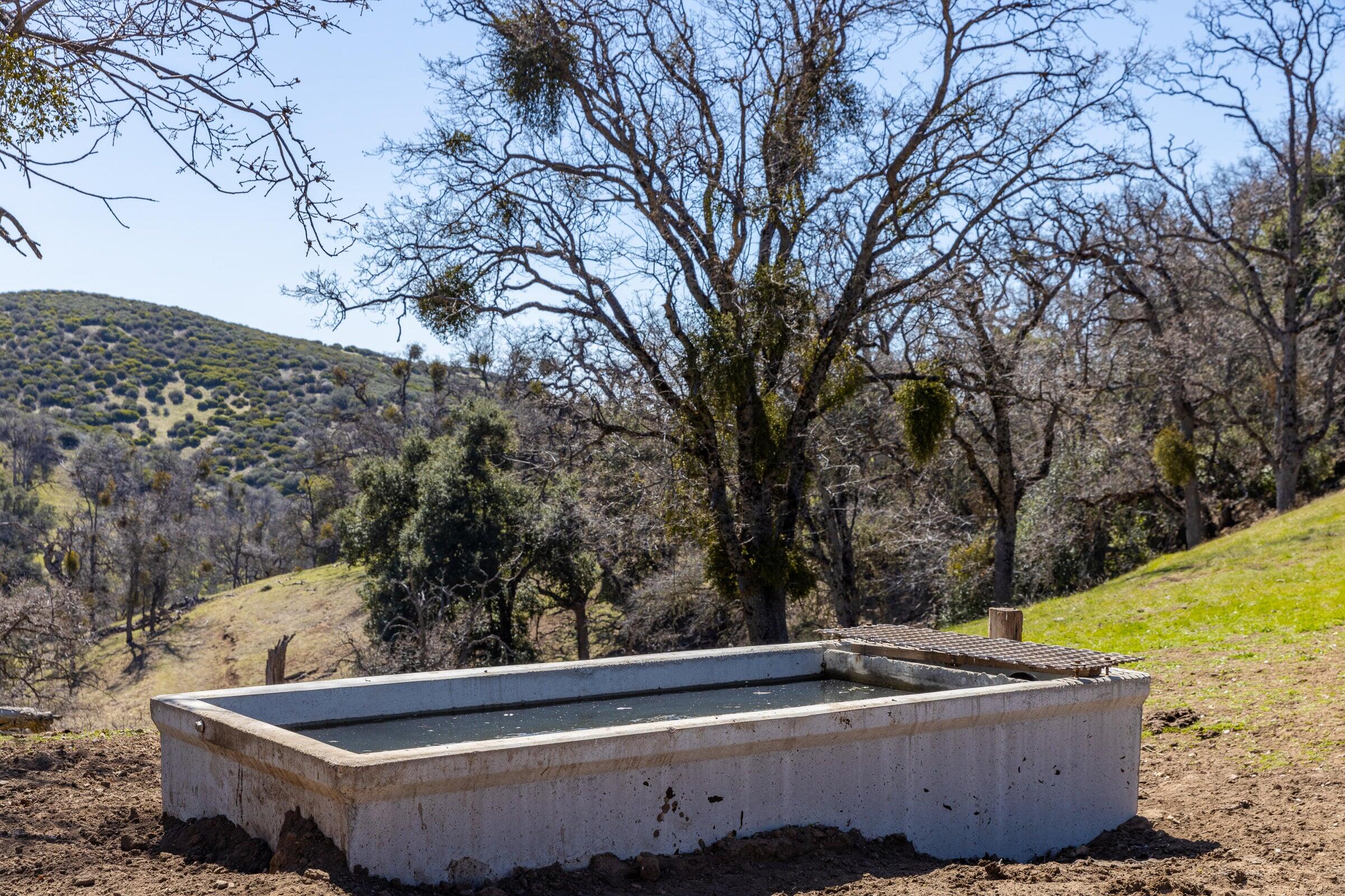 Palo Escrito Ranch