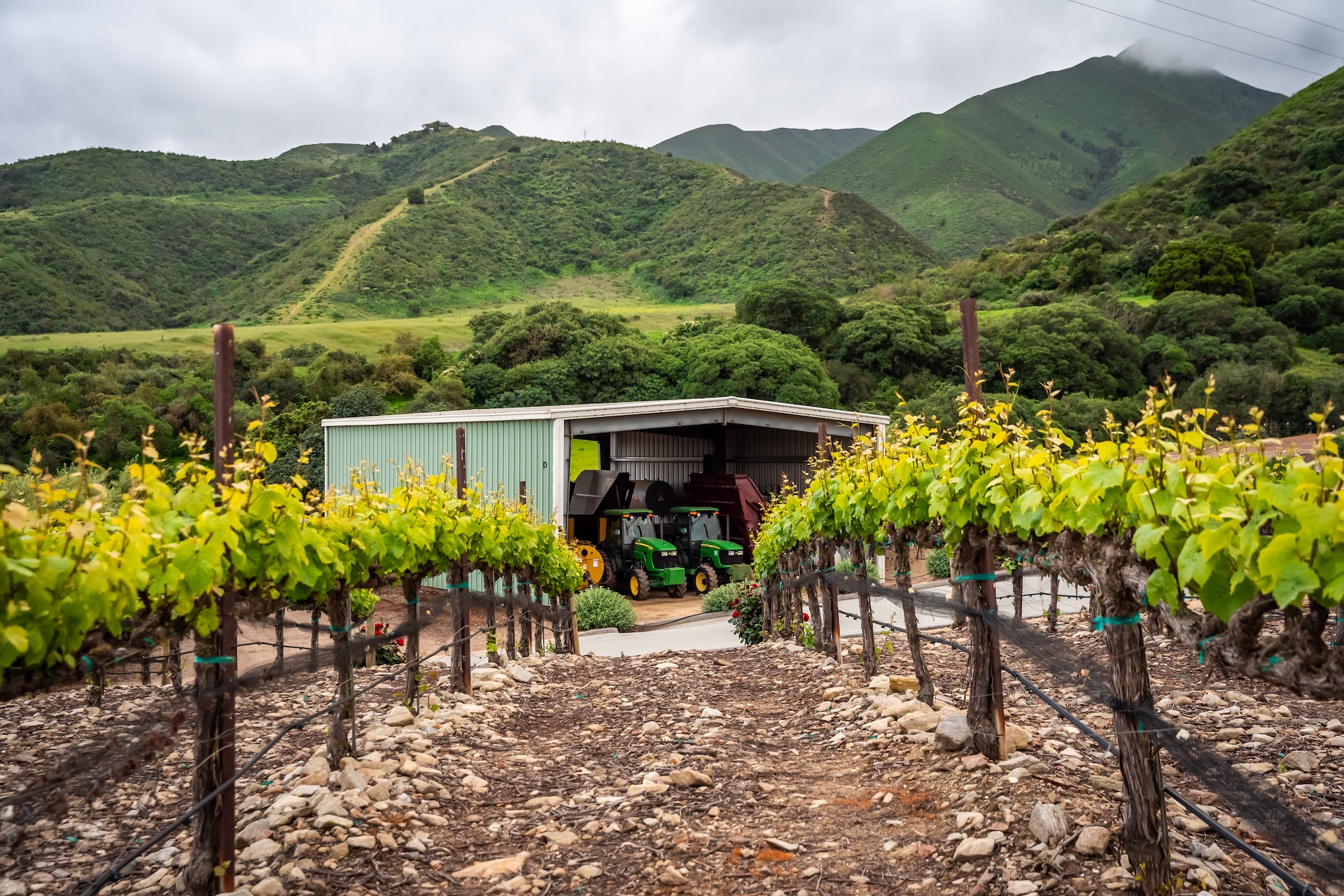 Boekenoogen Santa Lucia Highlands Vineyard