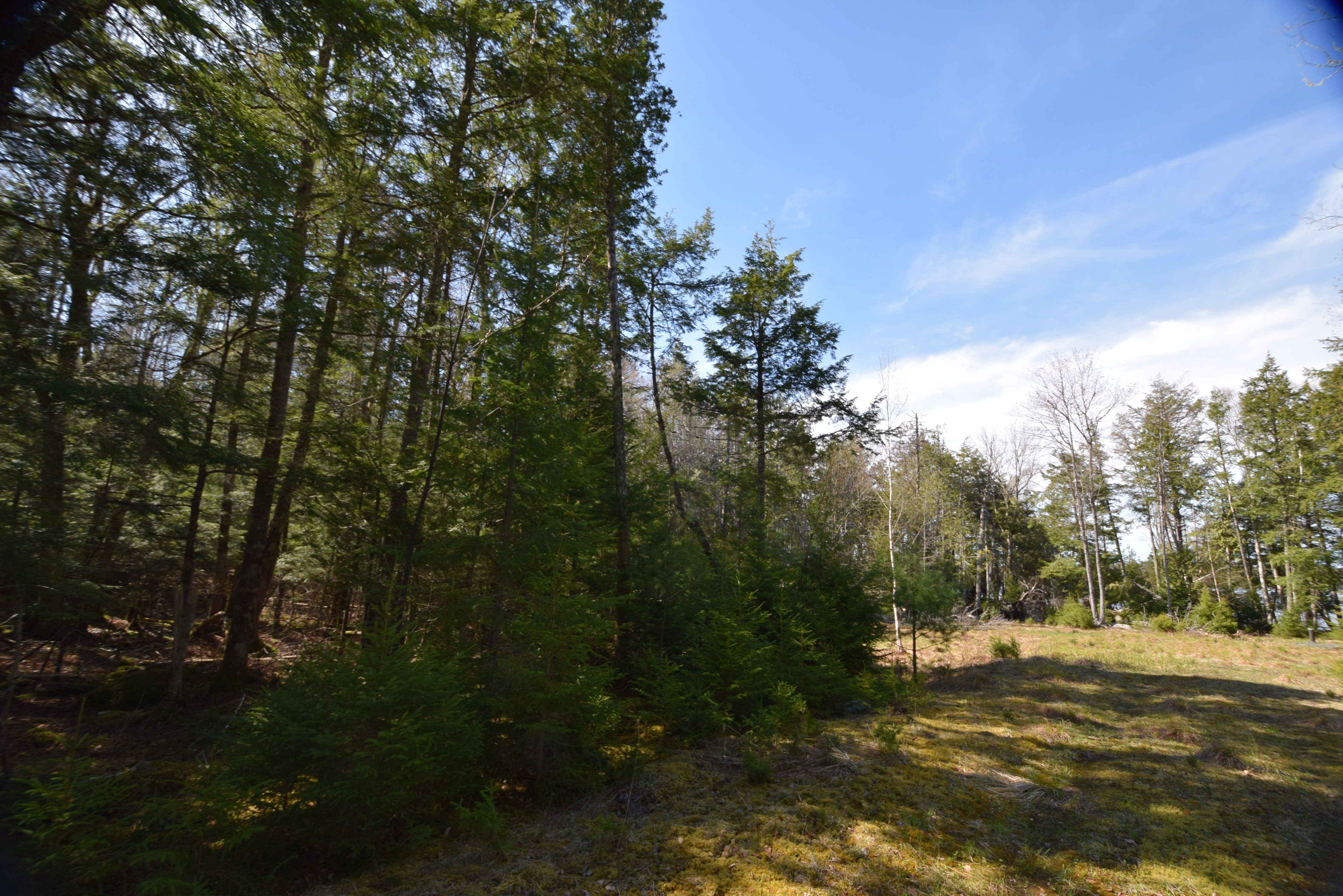Long Lake Lot