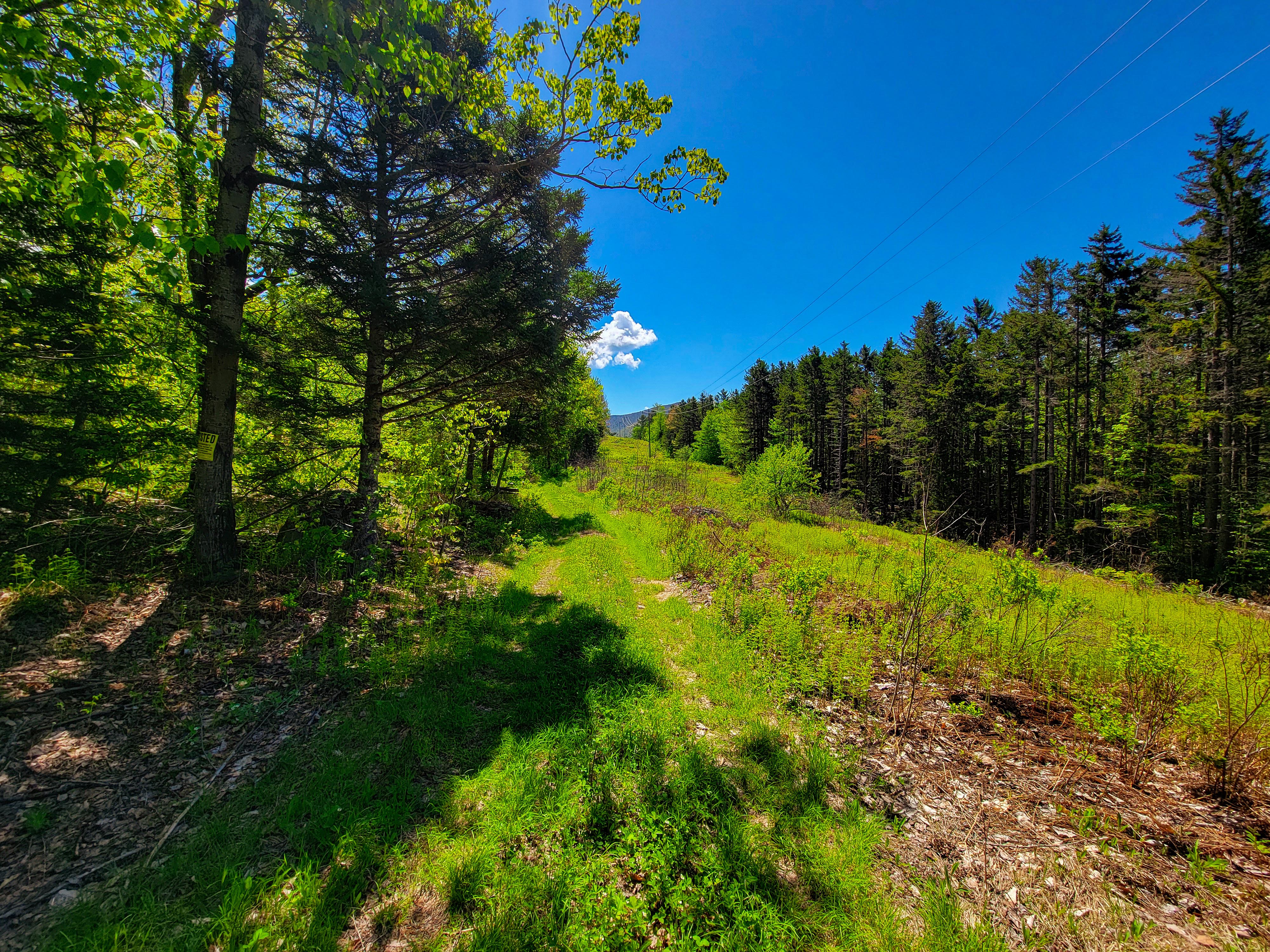 925 Hathaway Rd - Goshen