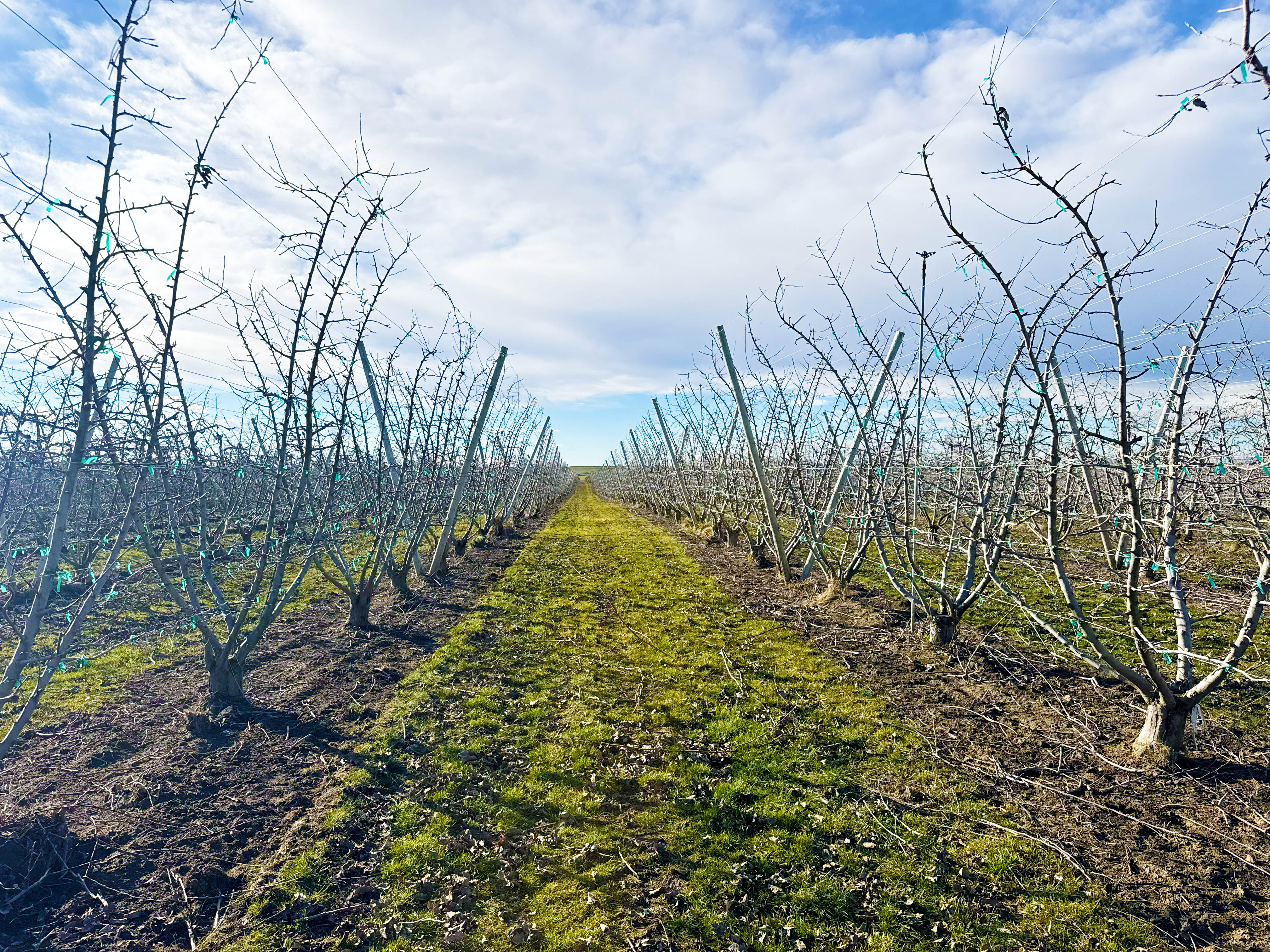 Fern Road Irrigated farm