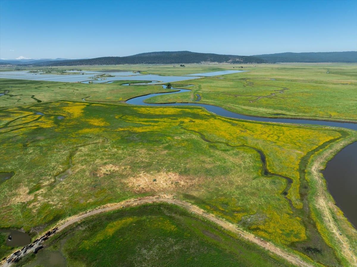 Pit River Cattle Ranch