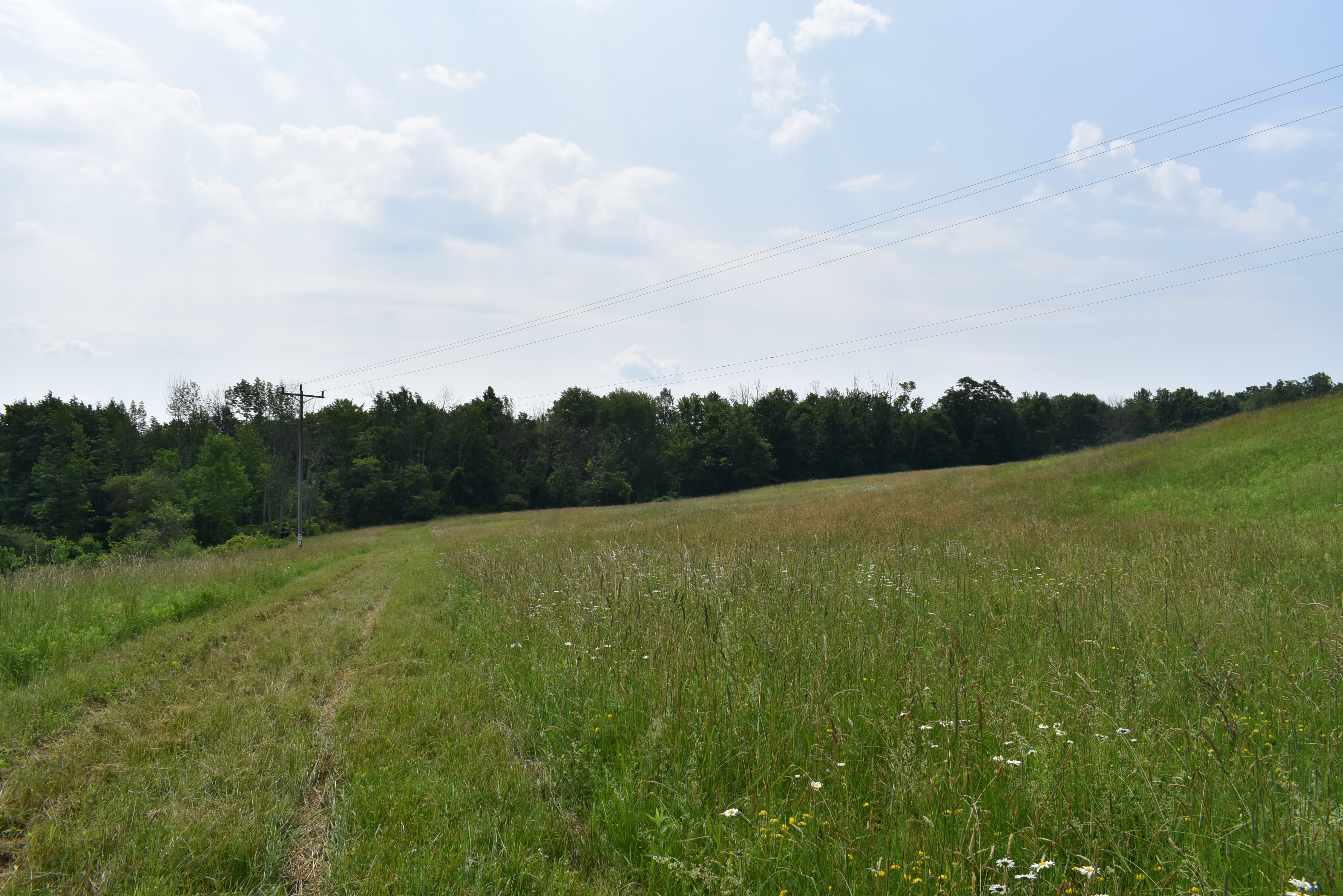 Listing Image 71