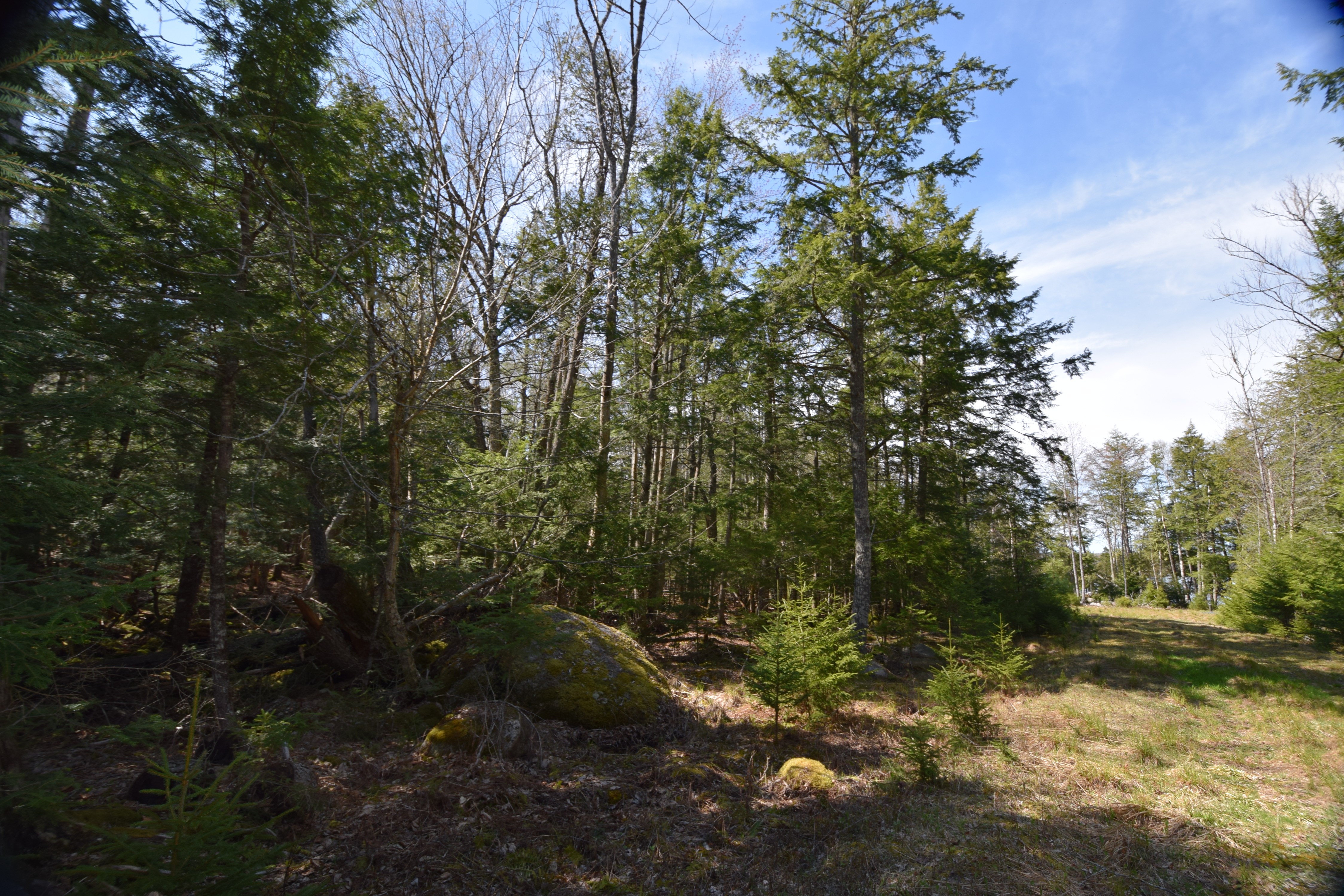 Long Lake Lot