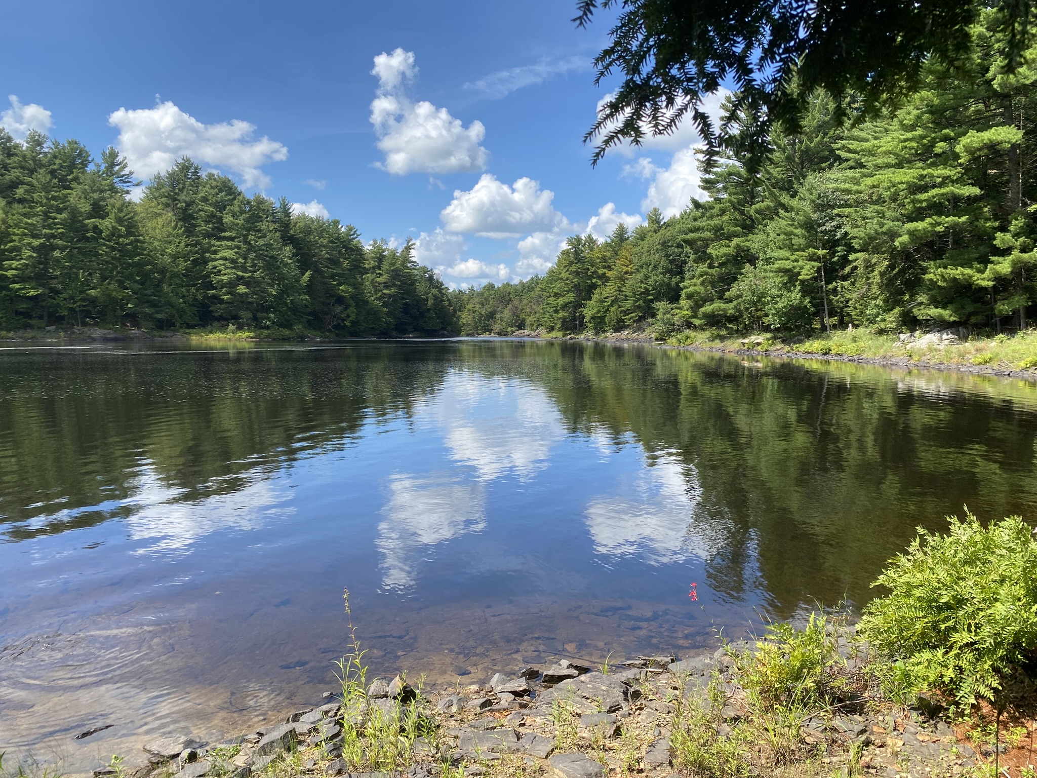 Listing Image 40