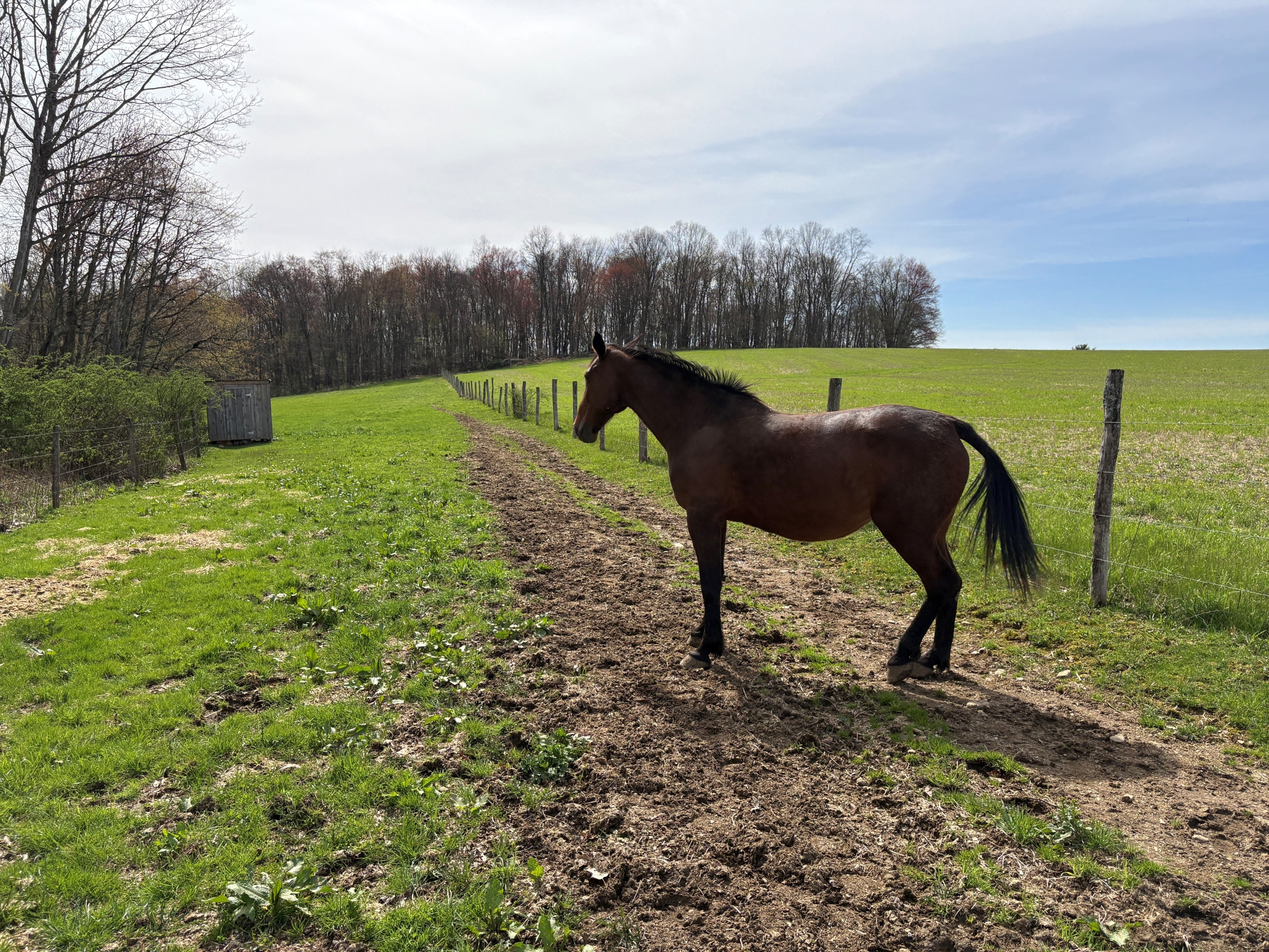 Country Living
