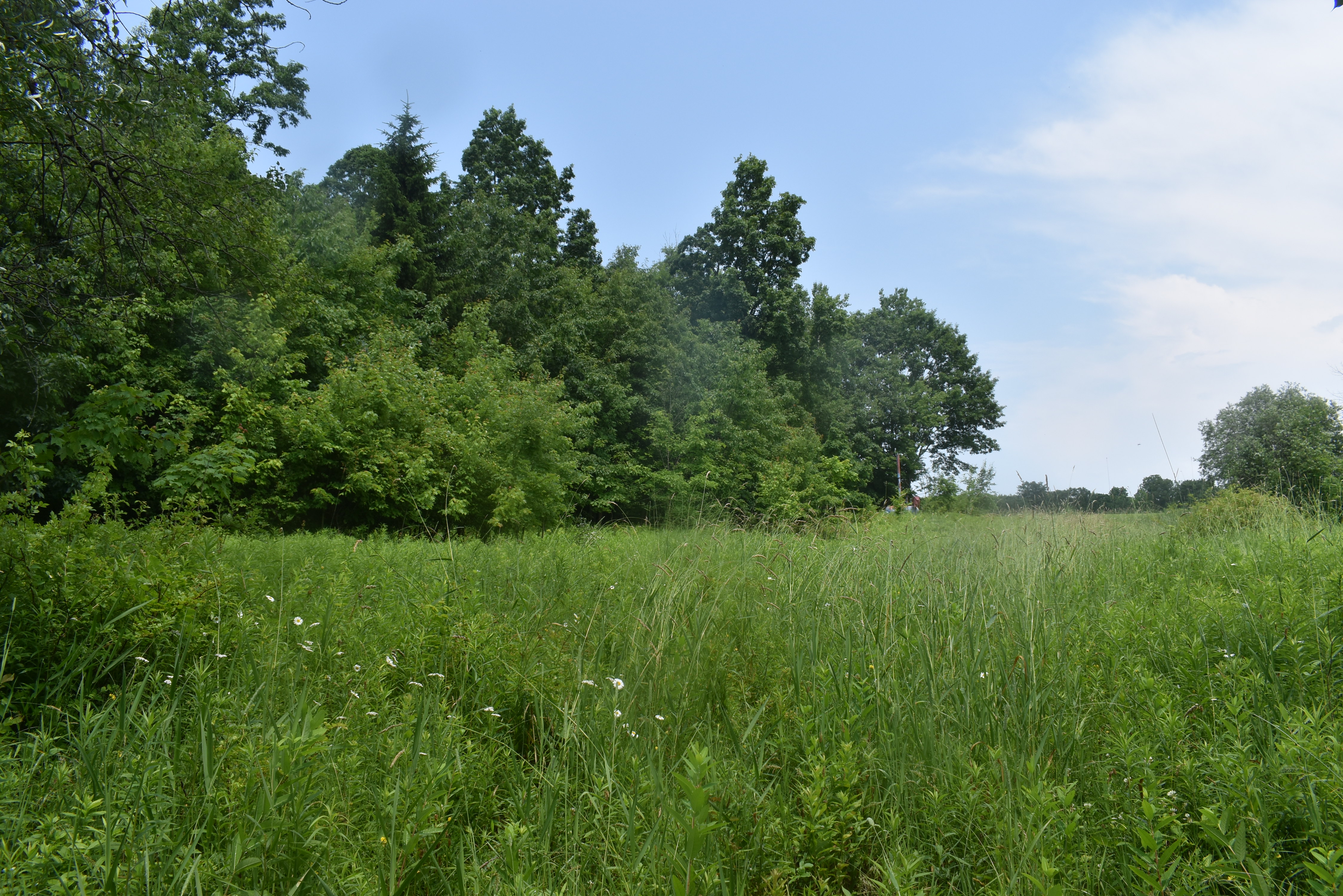 Listing Image 38