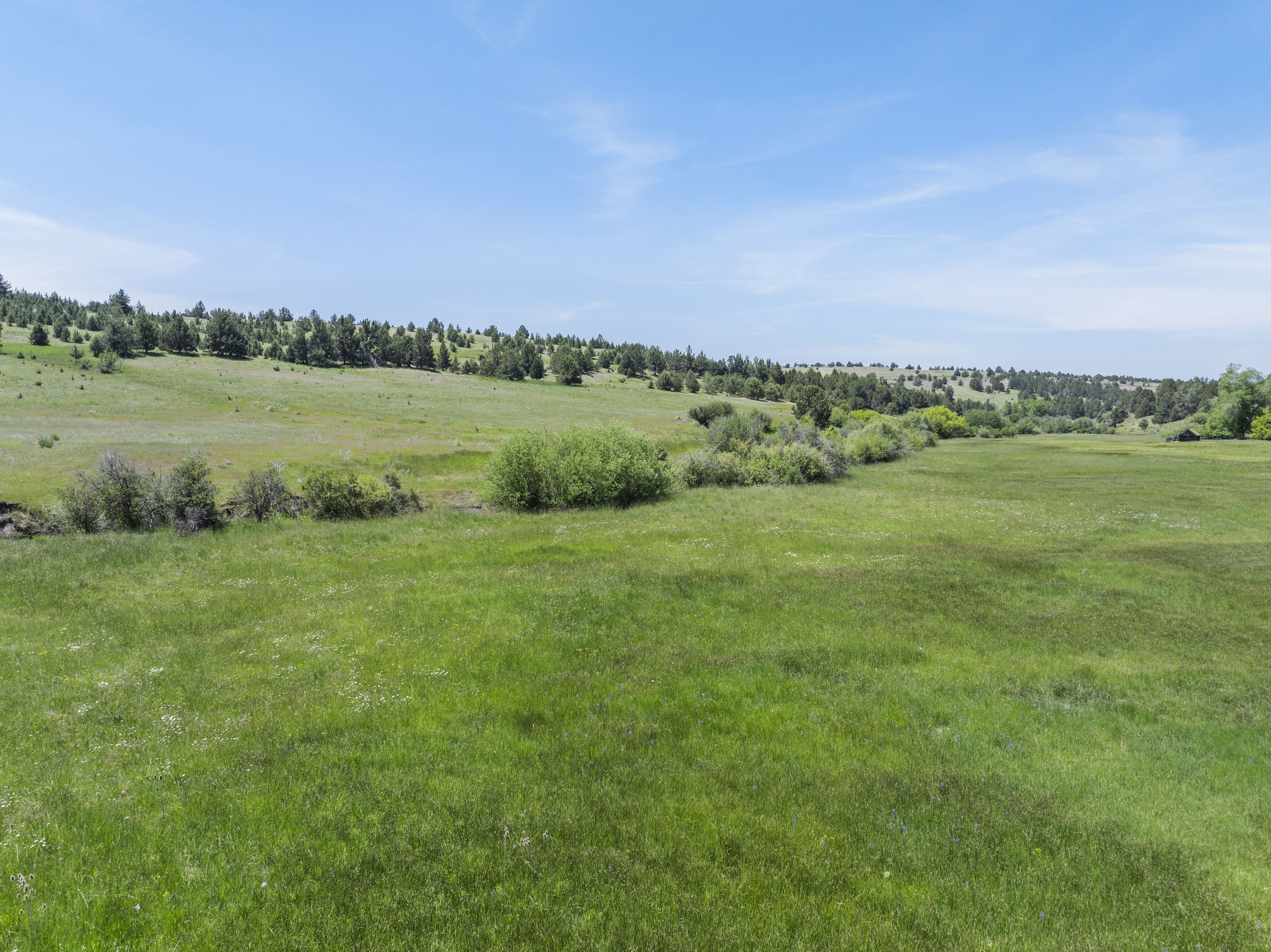 Listing Image 56