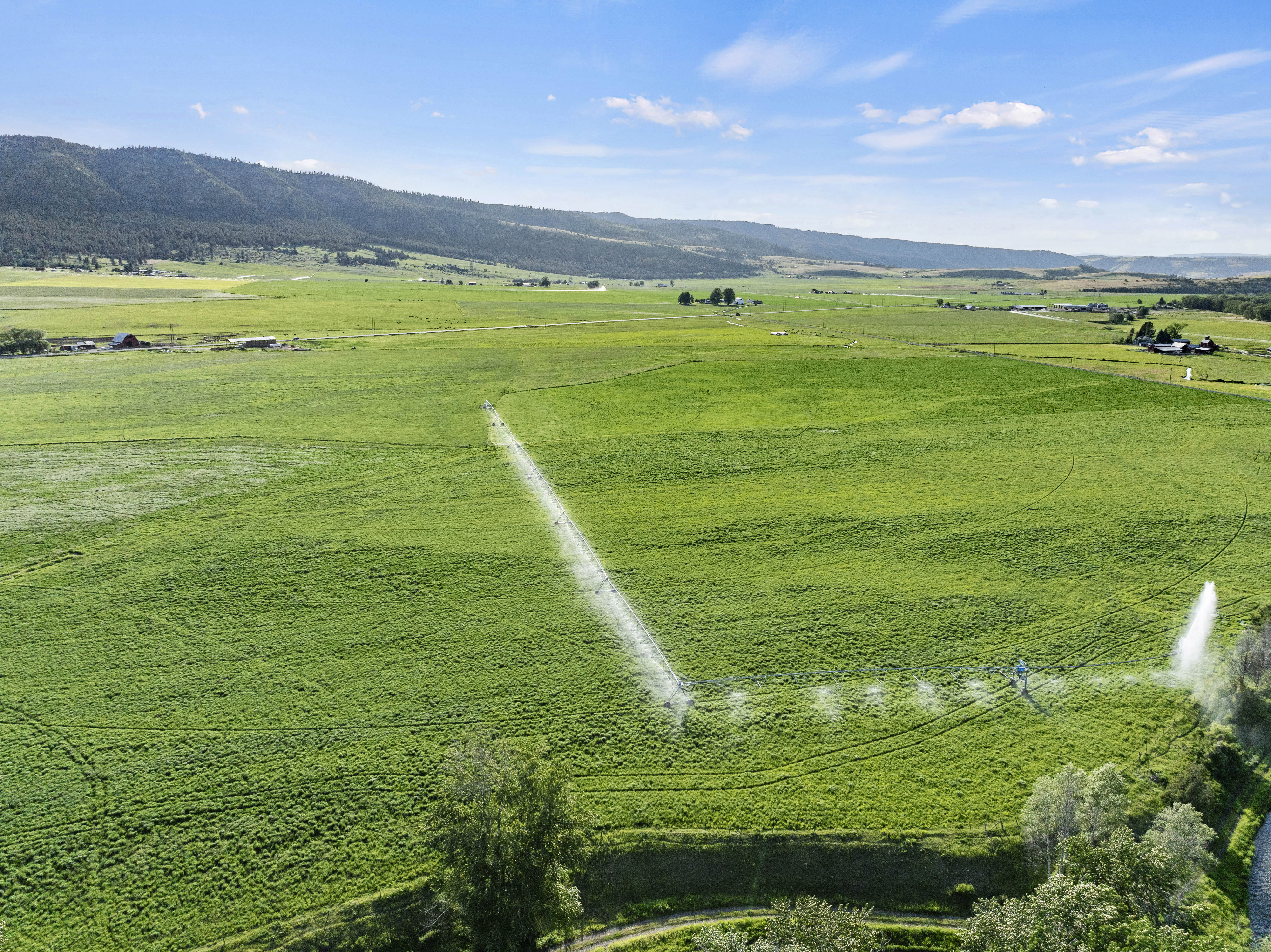 The Baker and Johnston Ranches - Stunning Riverfront Ranch for Sale in Wallowa County
