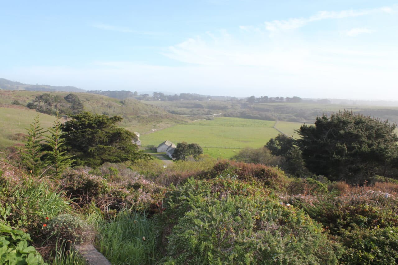 Listing Image 64