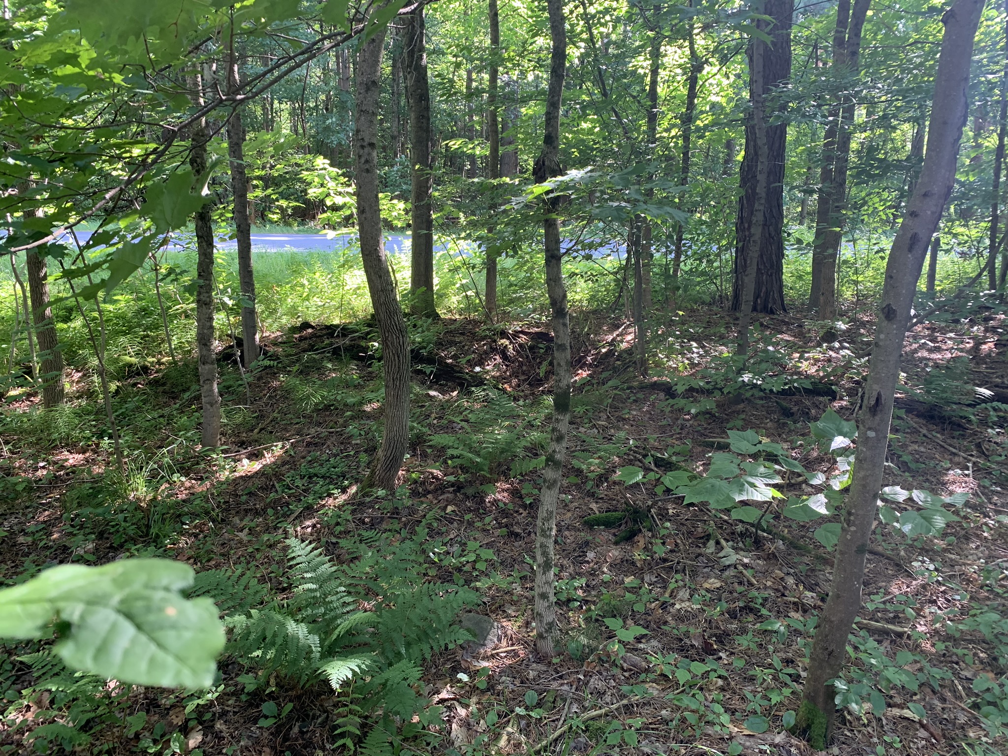 Middle Branch of the Oswegatchie