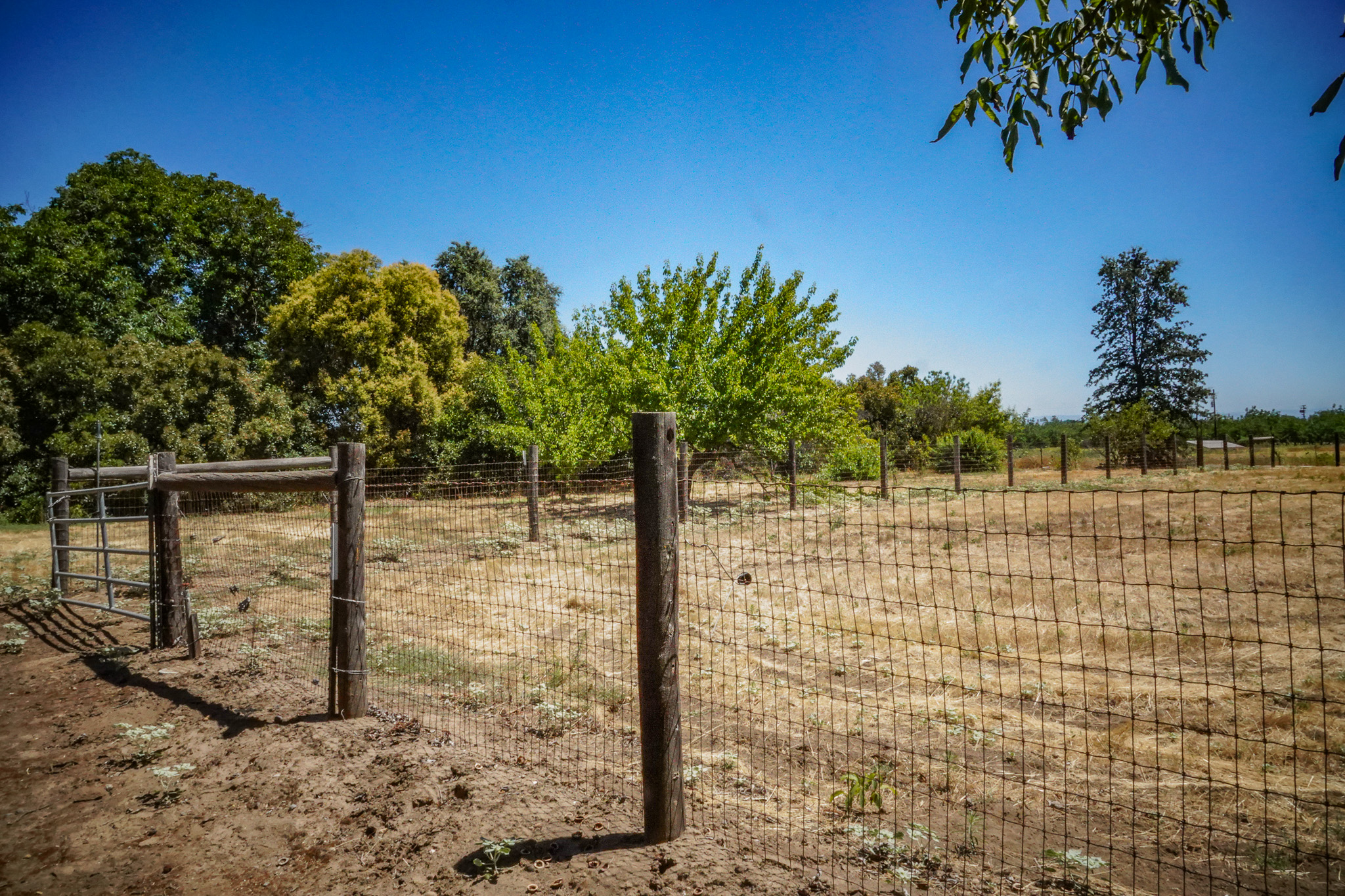 Woodard Ranch