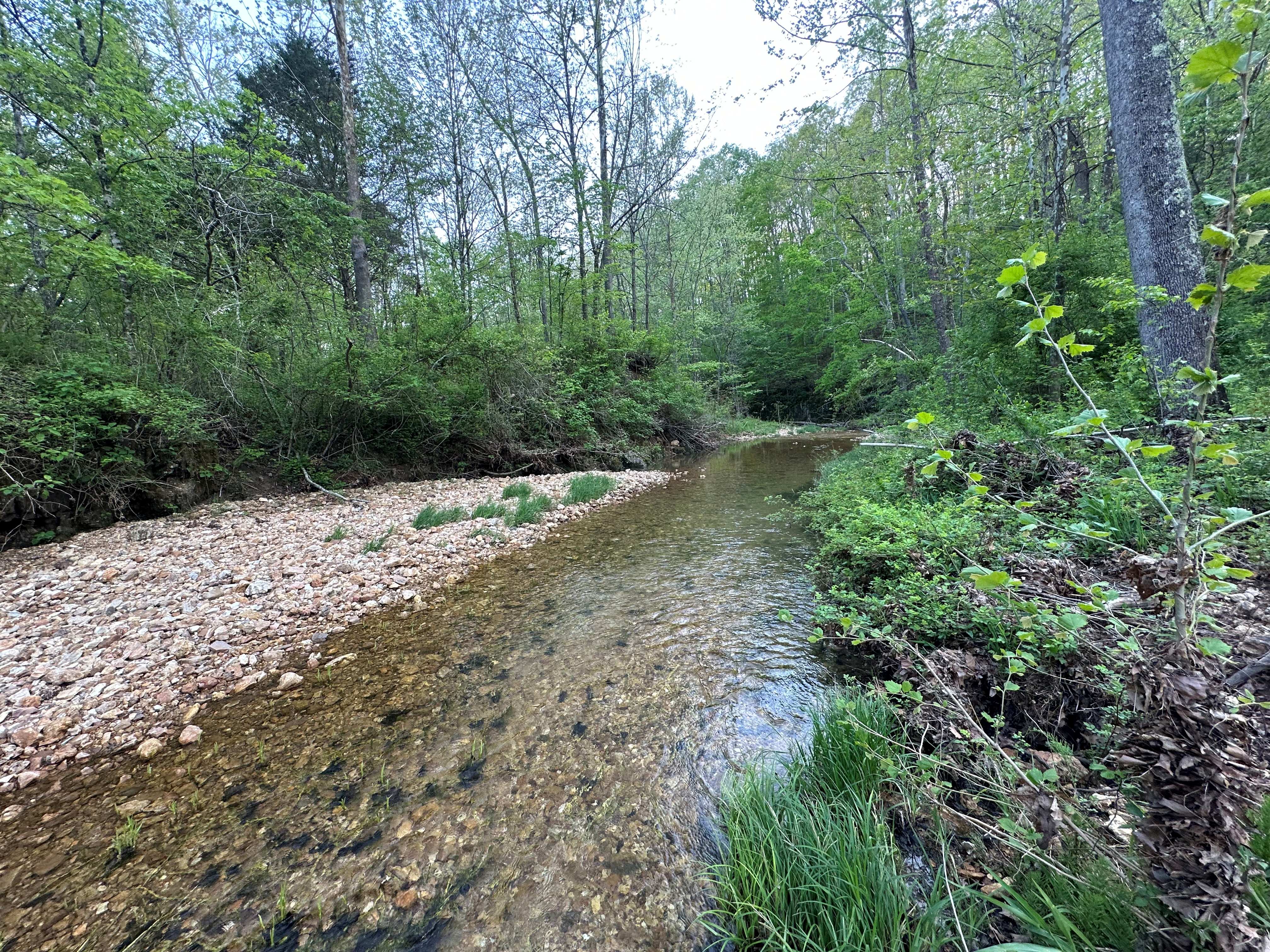 Wash Creek Retreat