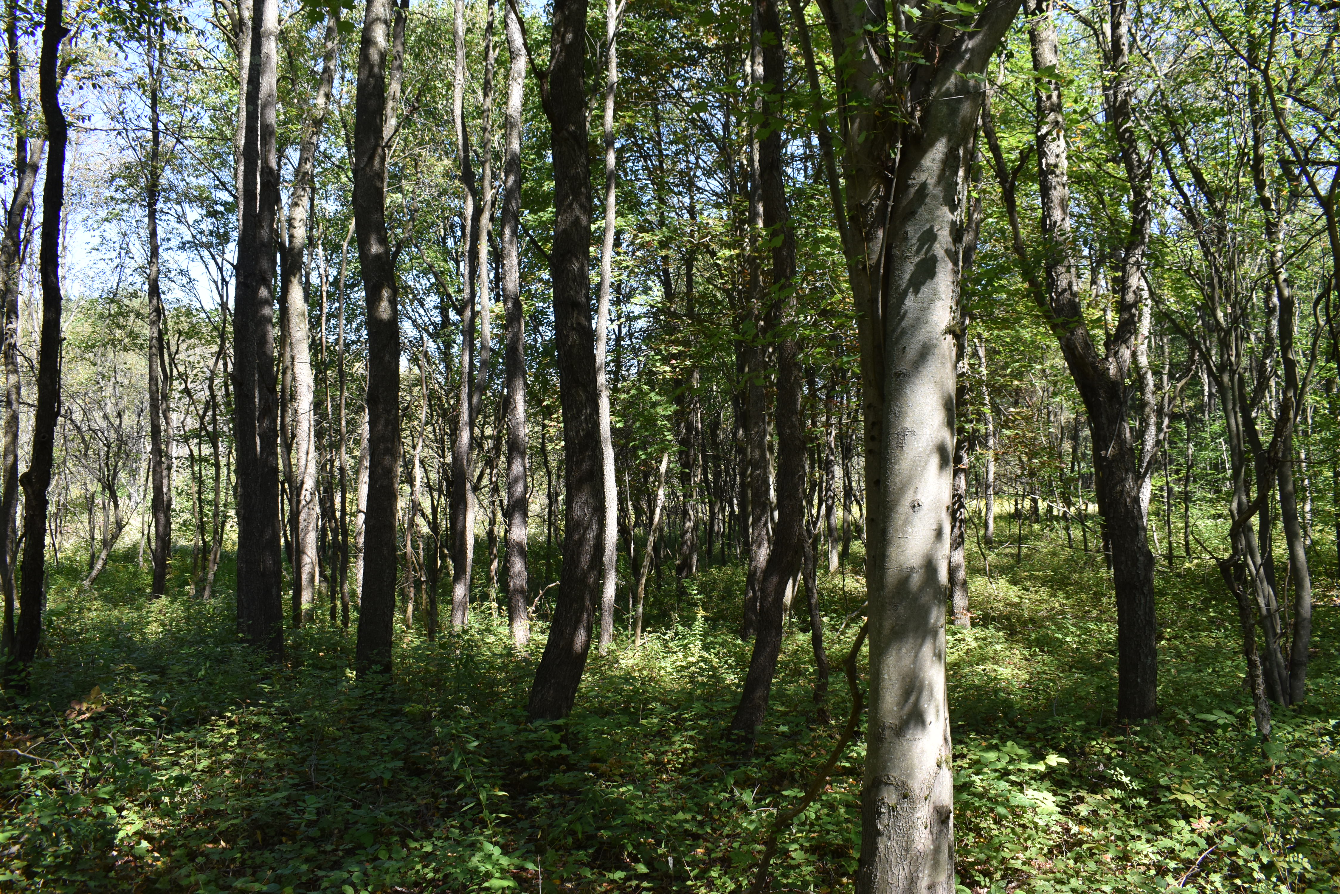 Listing Image 19