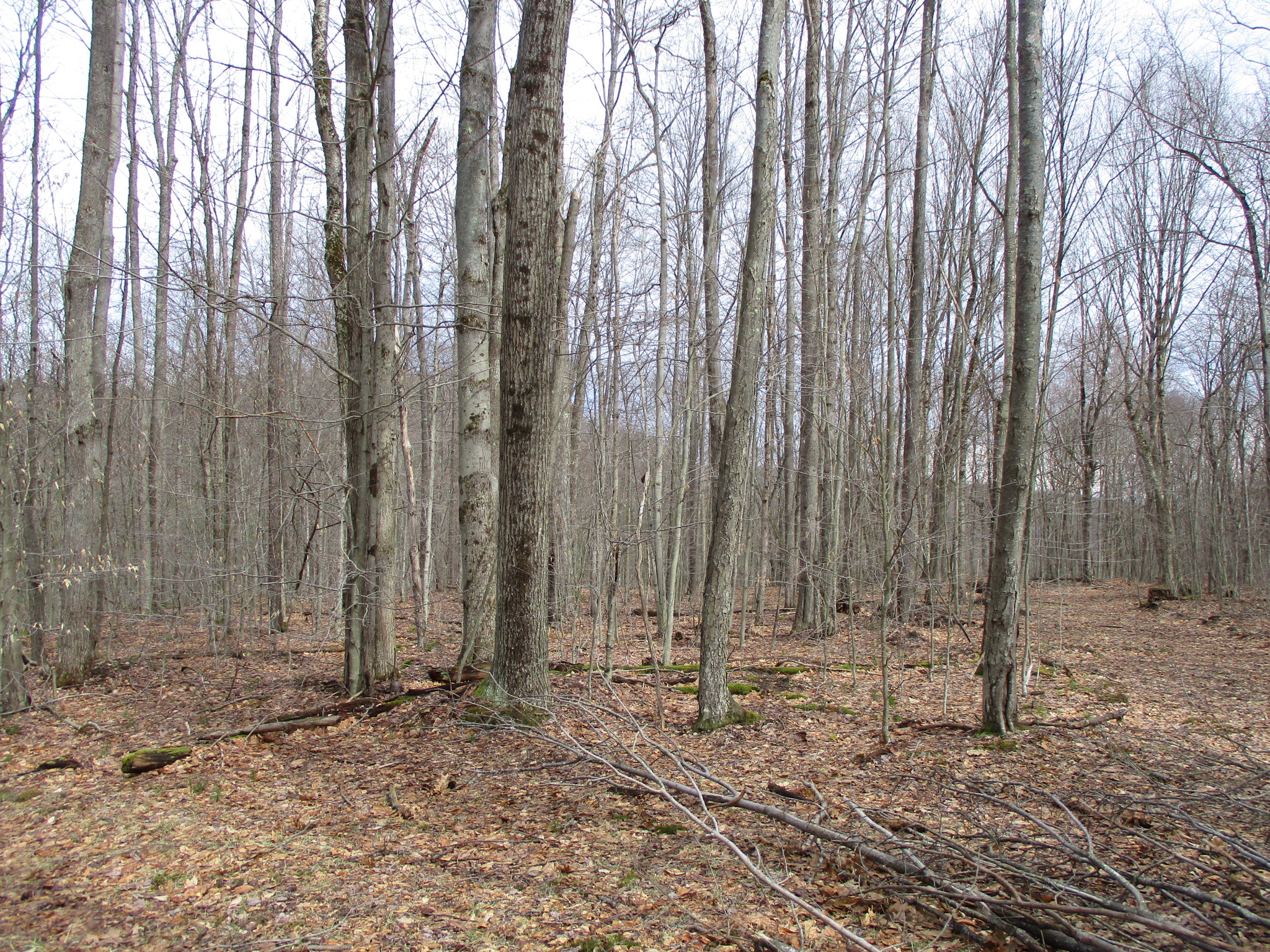 Listing Image 35