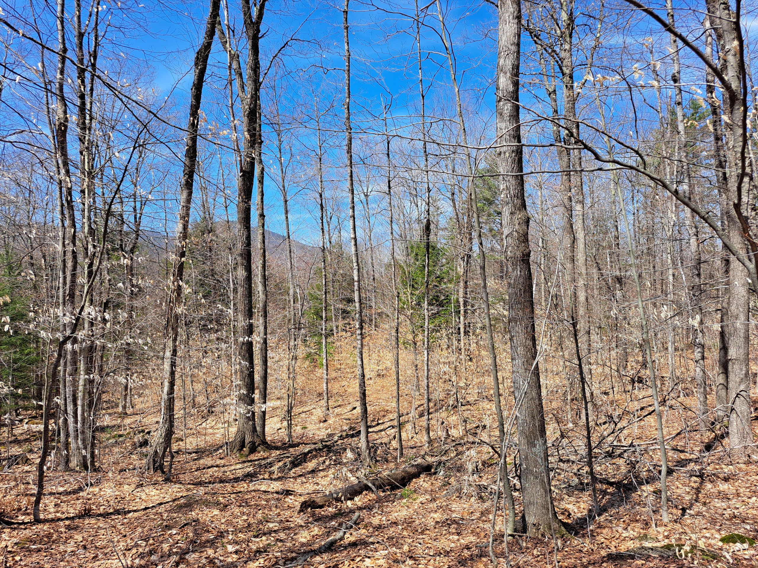 Listing Image 37