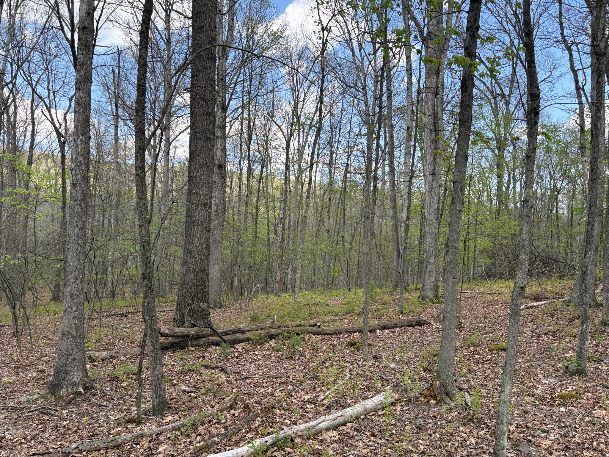 Listing Image 30
