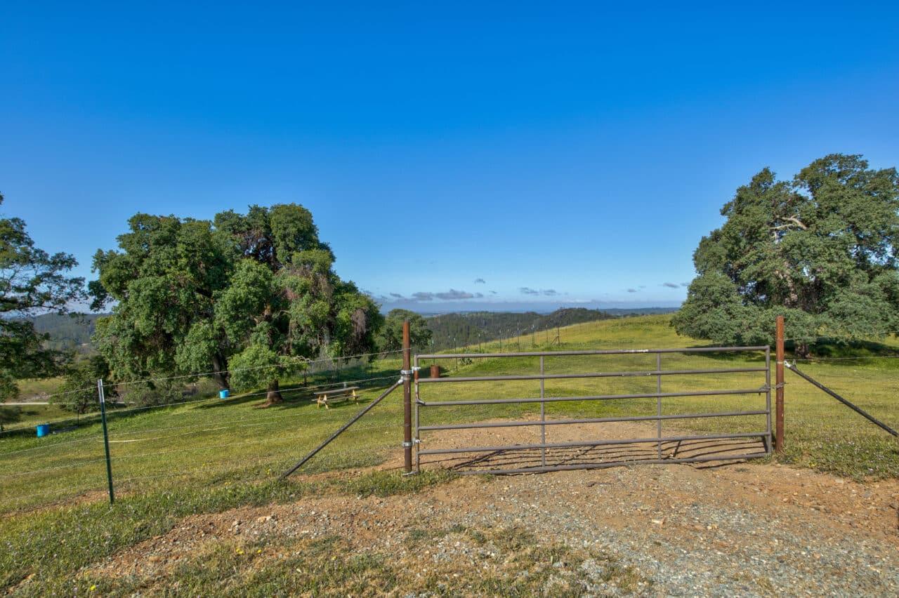 Trembath Mountain Vista