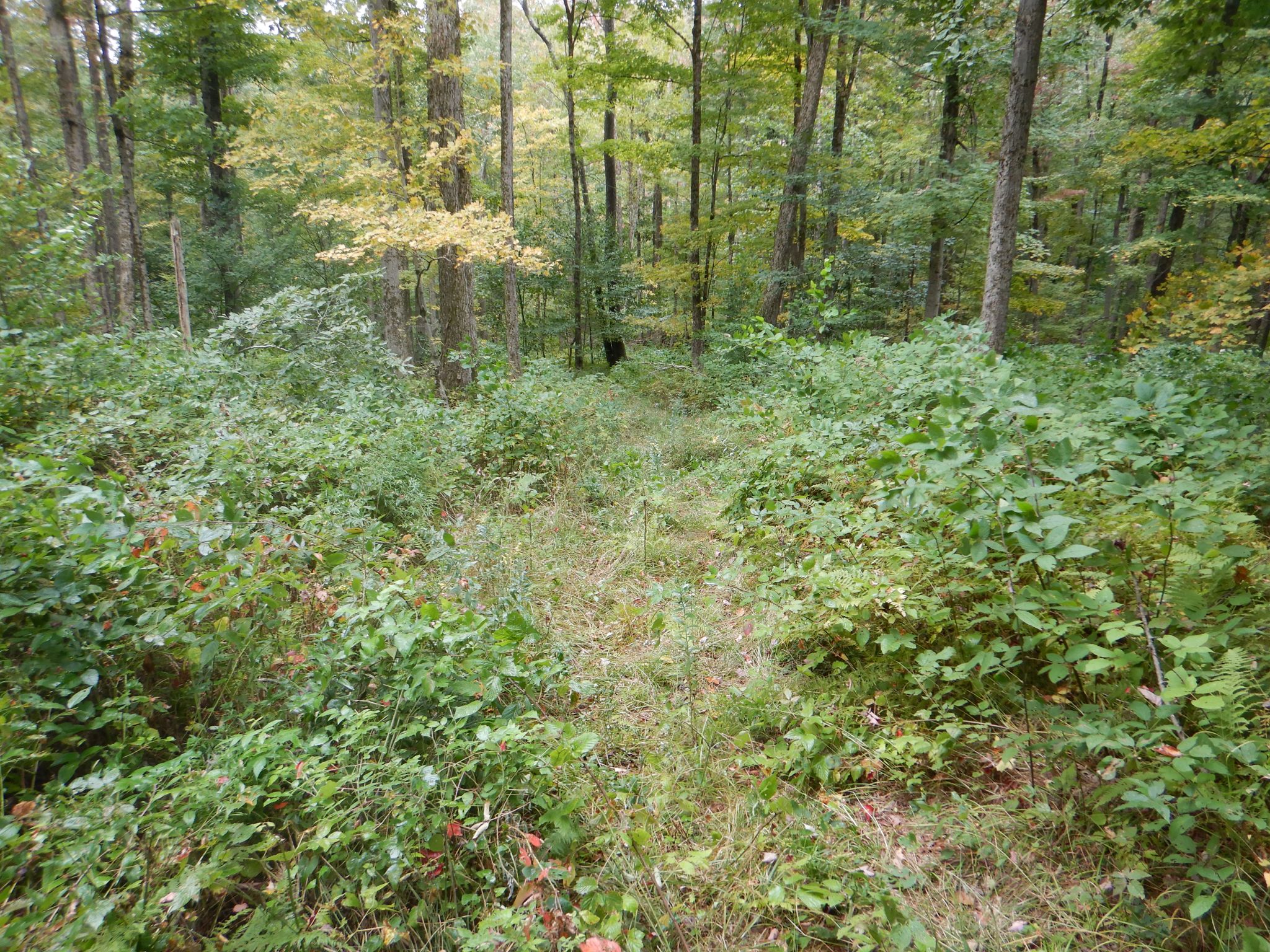 Listing Image 18