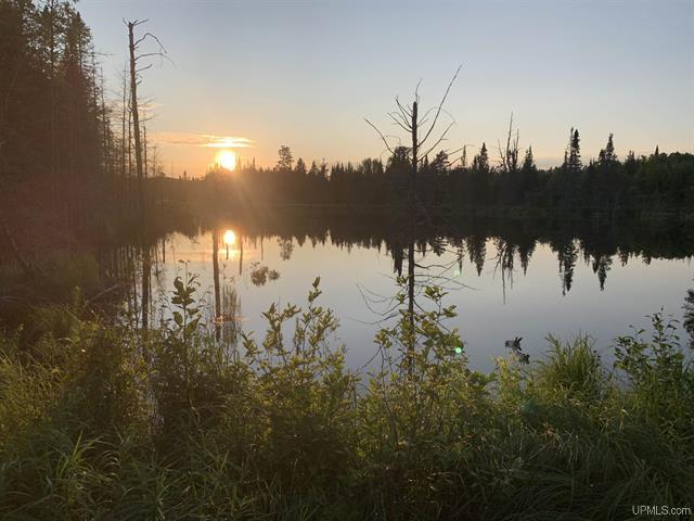 Pure Seclusion River Frontage 50181073