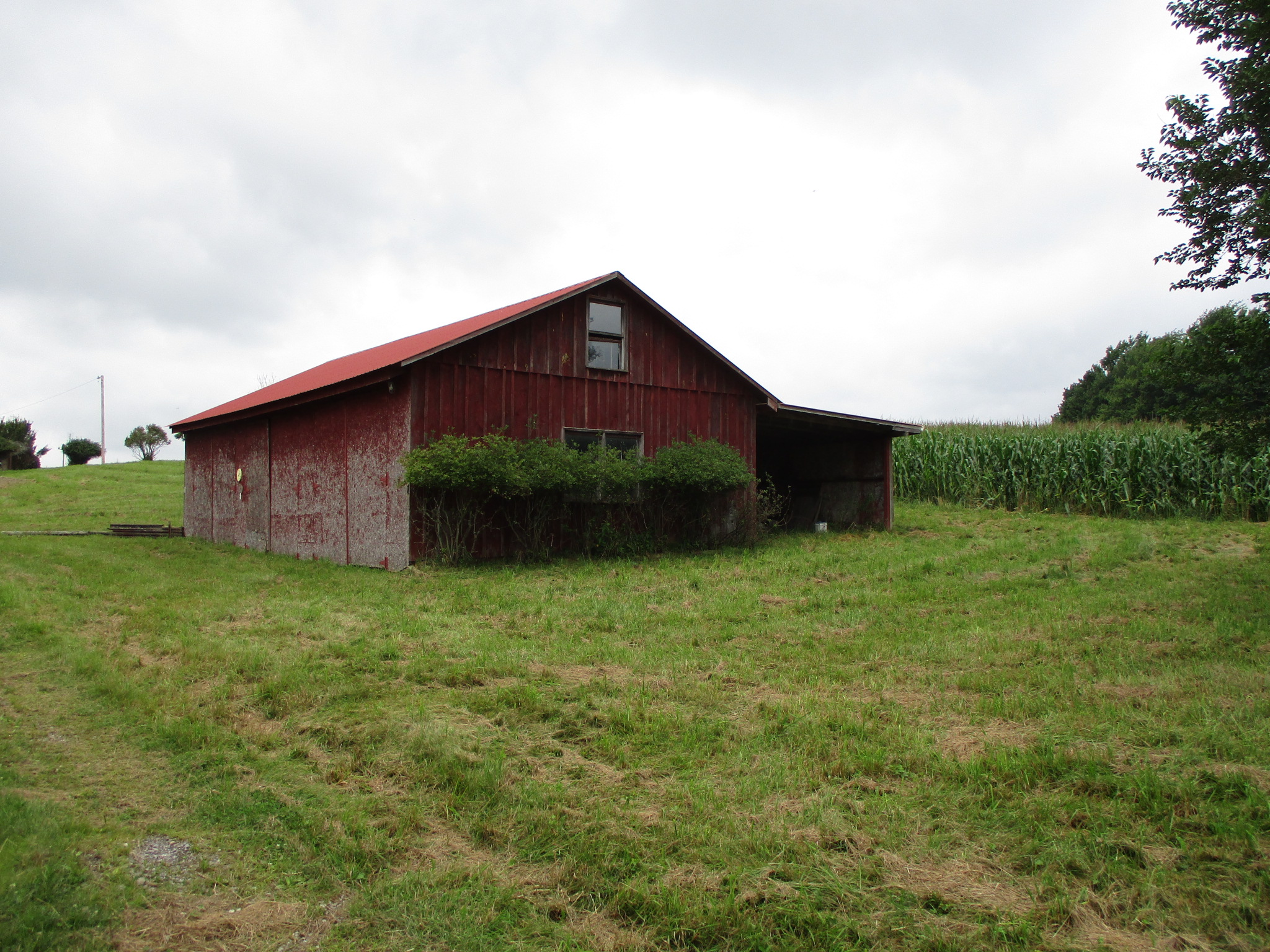Listing Image 28