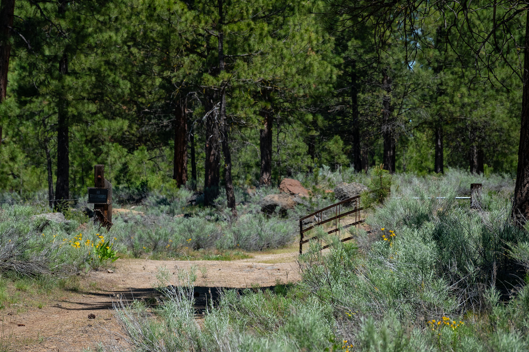 Klamath Marsh Retreat