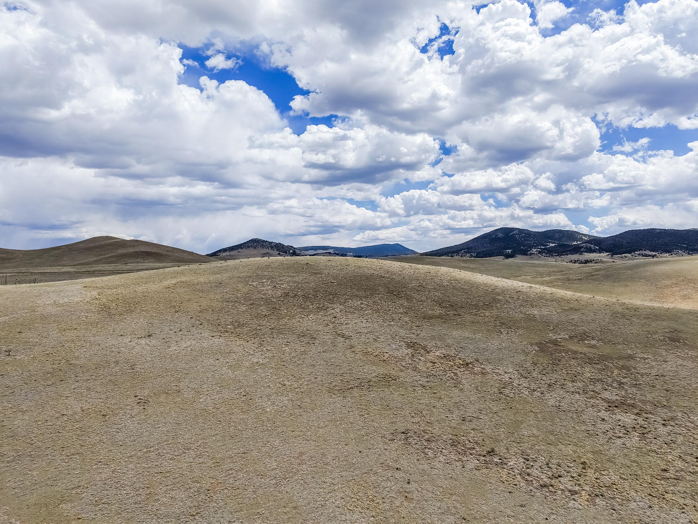 Listing Image 24