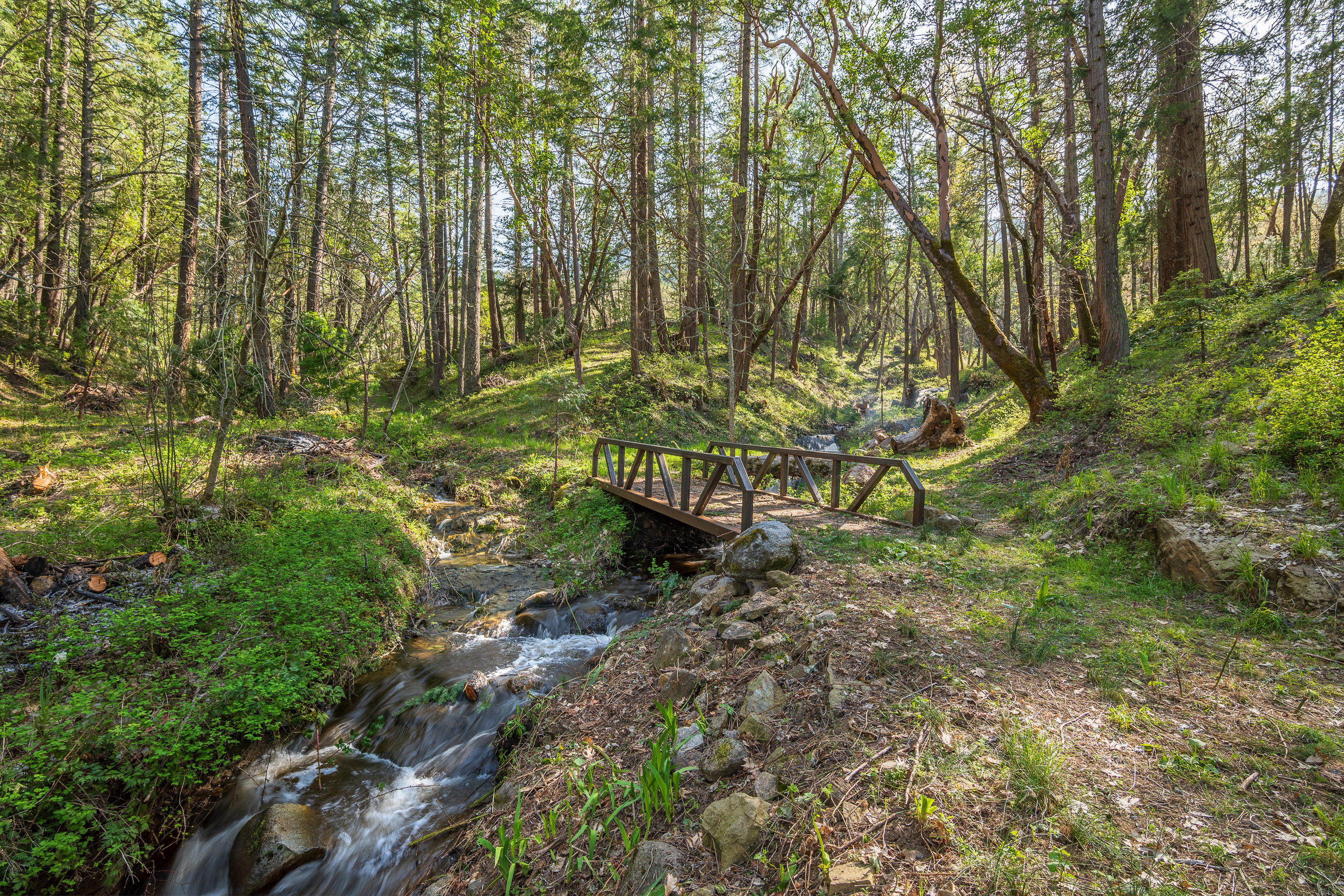 1694 Old Siskiyou Hwy