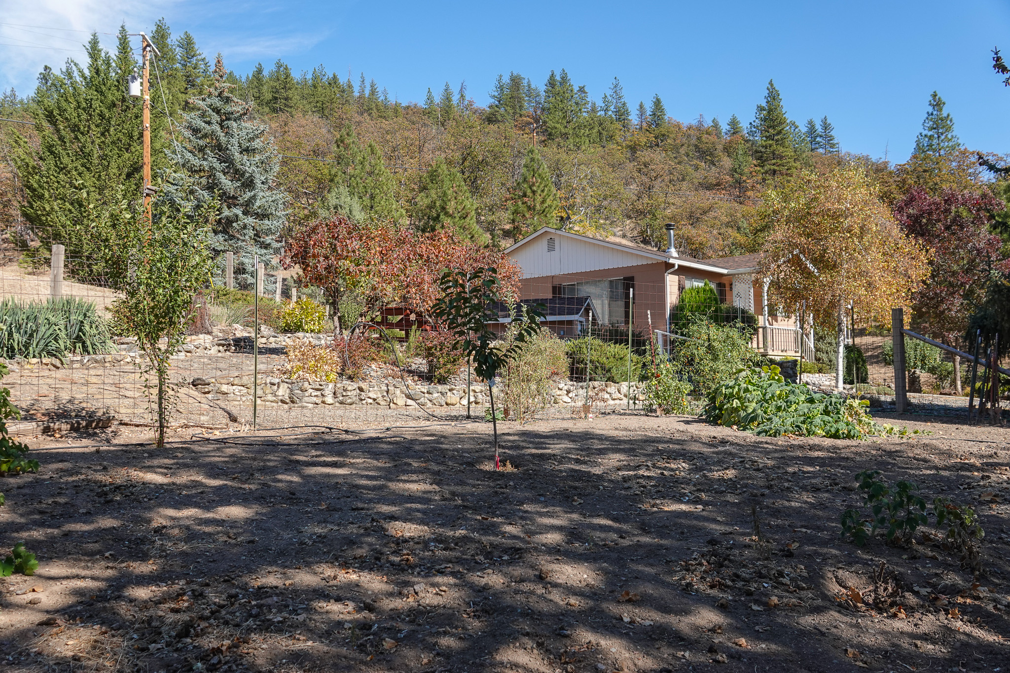 Listing Image 41