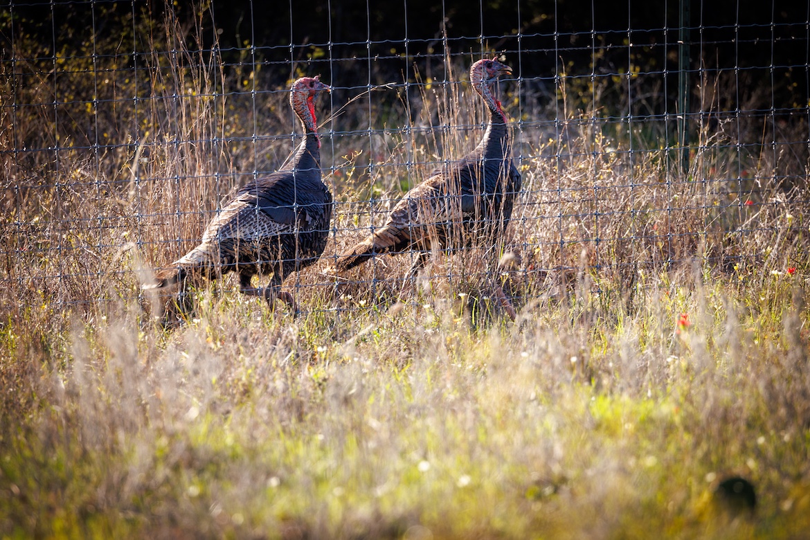 LAKEFRONT LEGACY RANCH