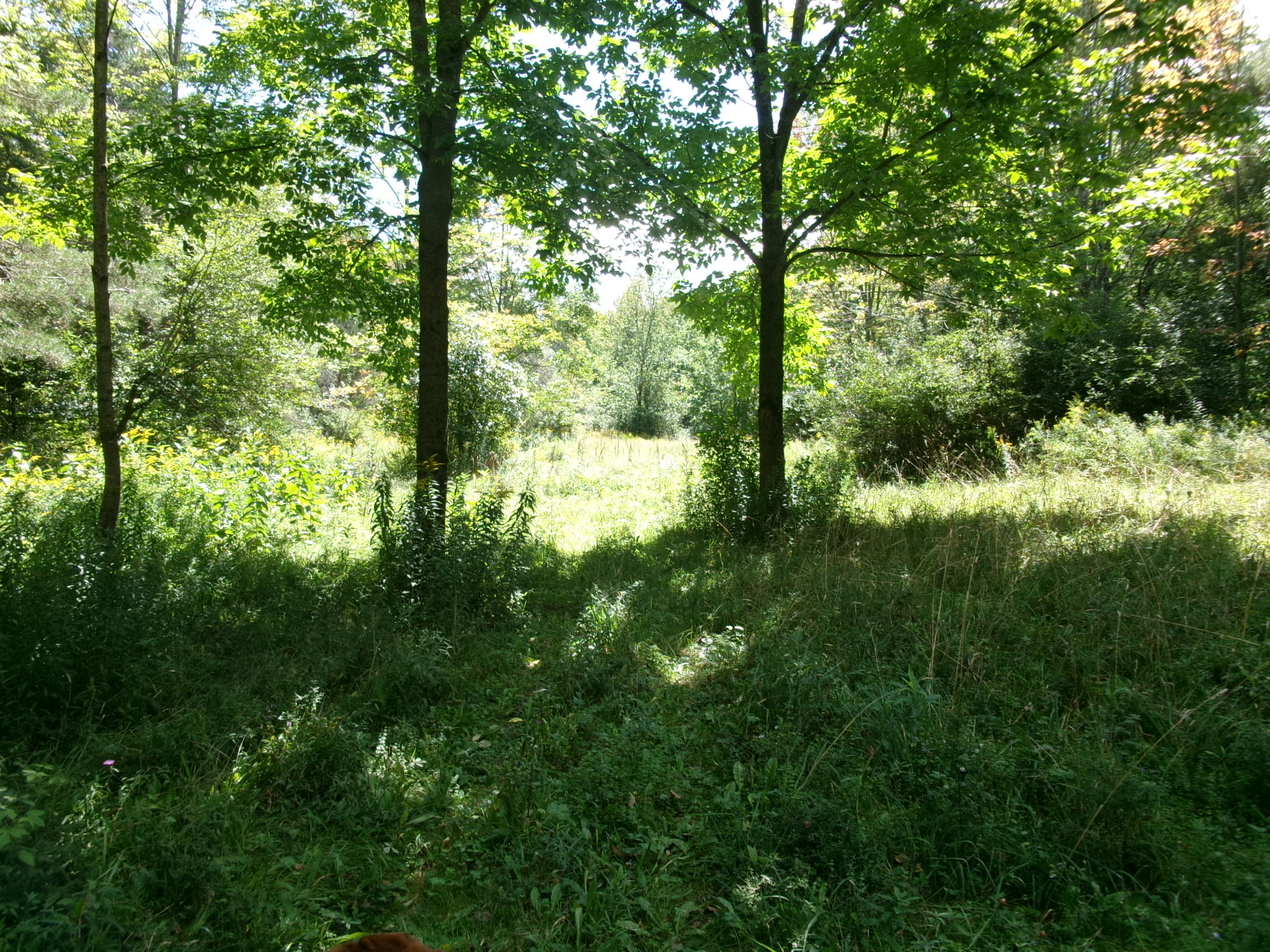 Listing Image 30