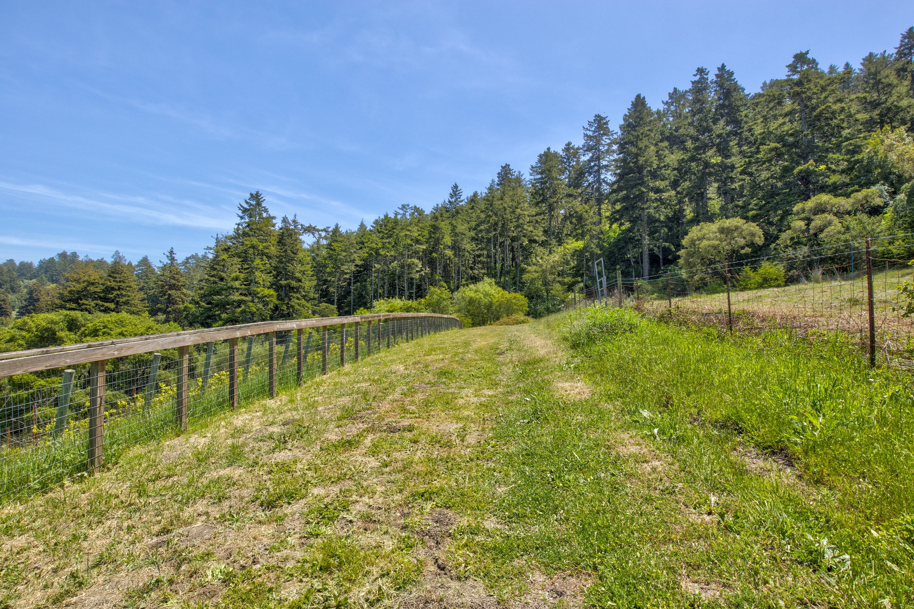 San Gregorio Creekside Farm
