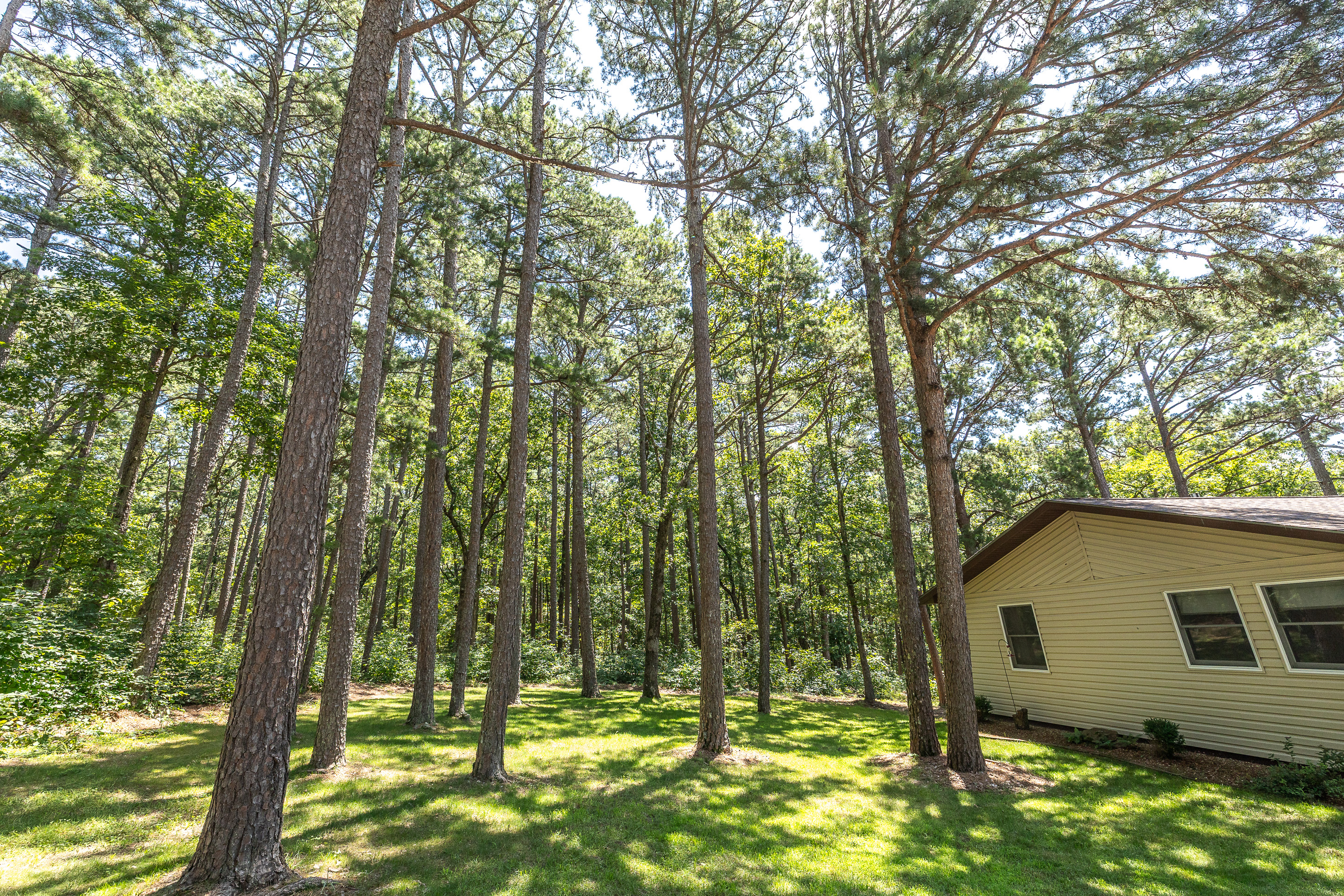 Boulder Pine Hollow