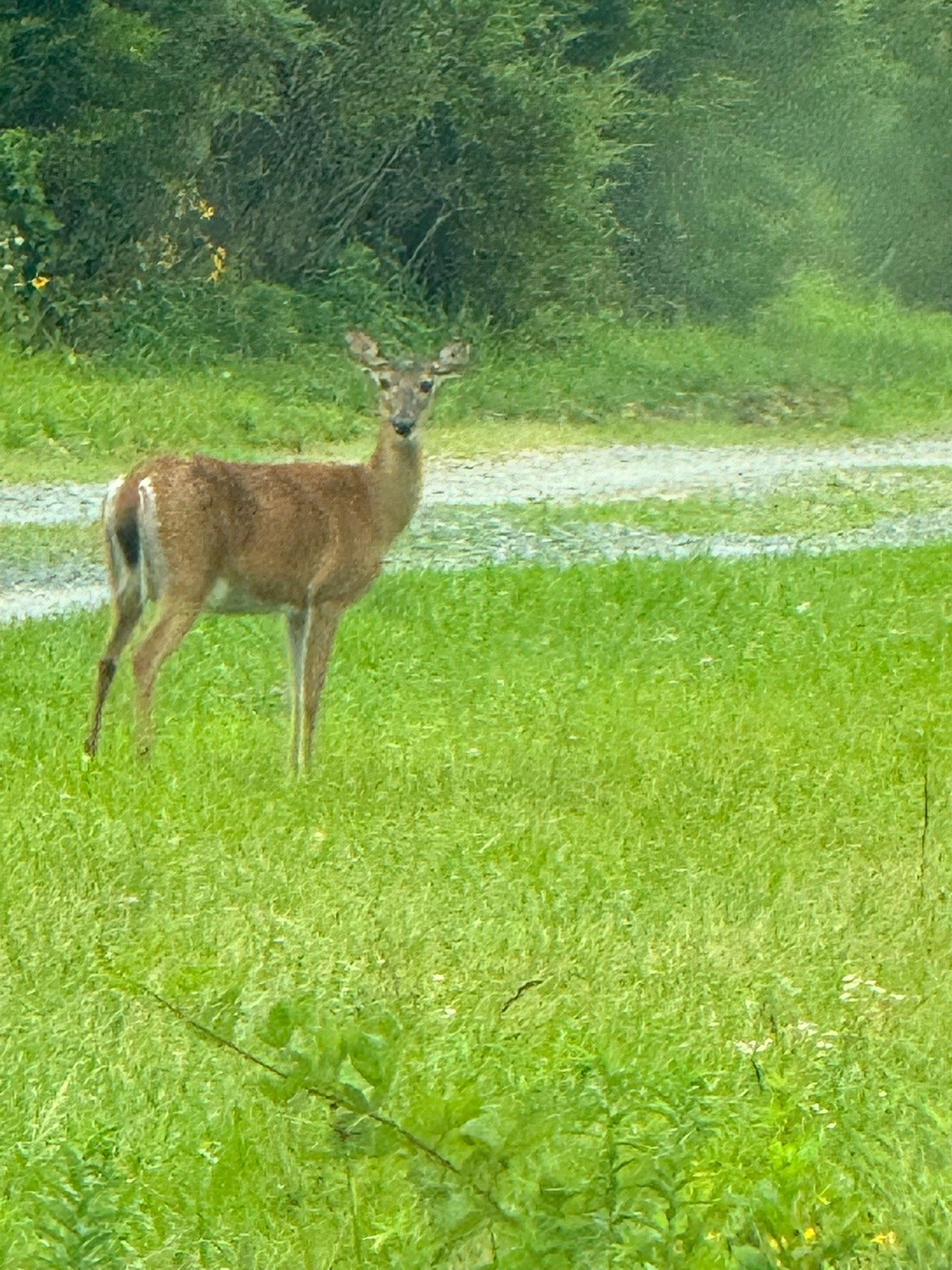 Wash Creek Retreat