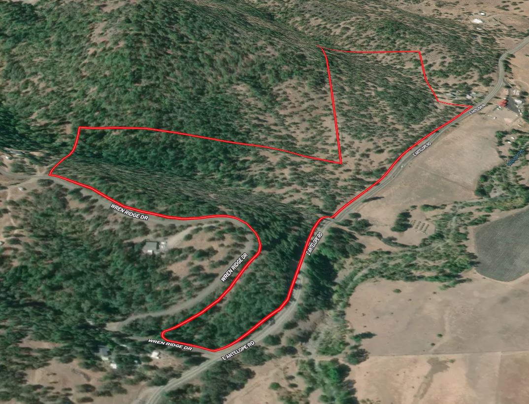 Listing Image 11