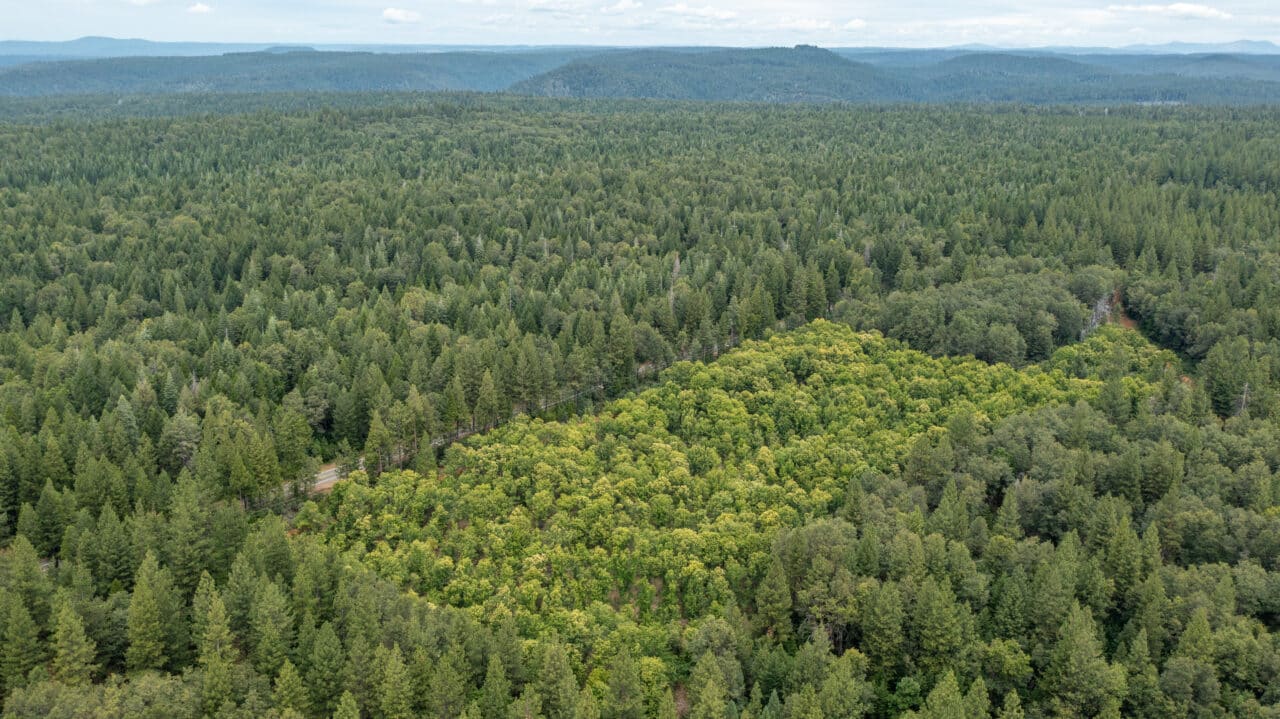 Foresthill Divide