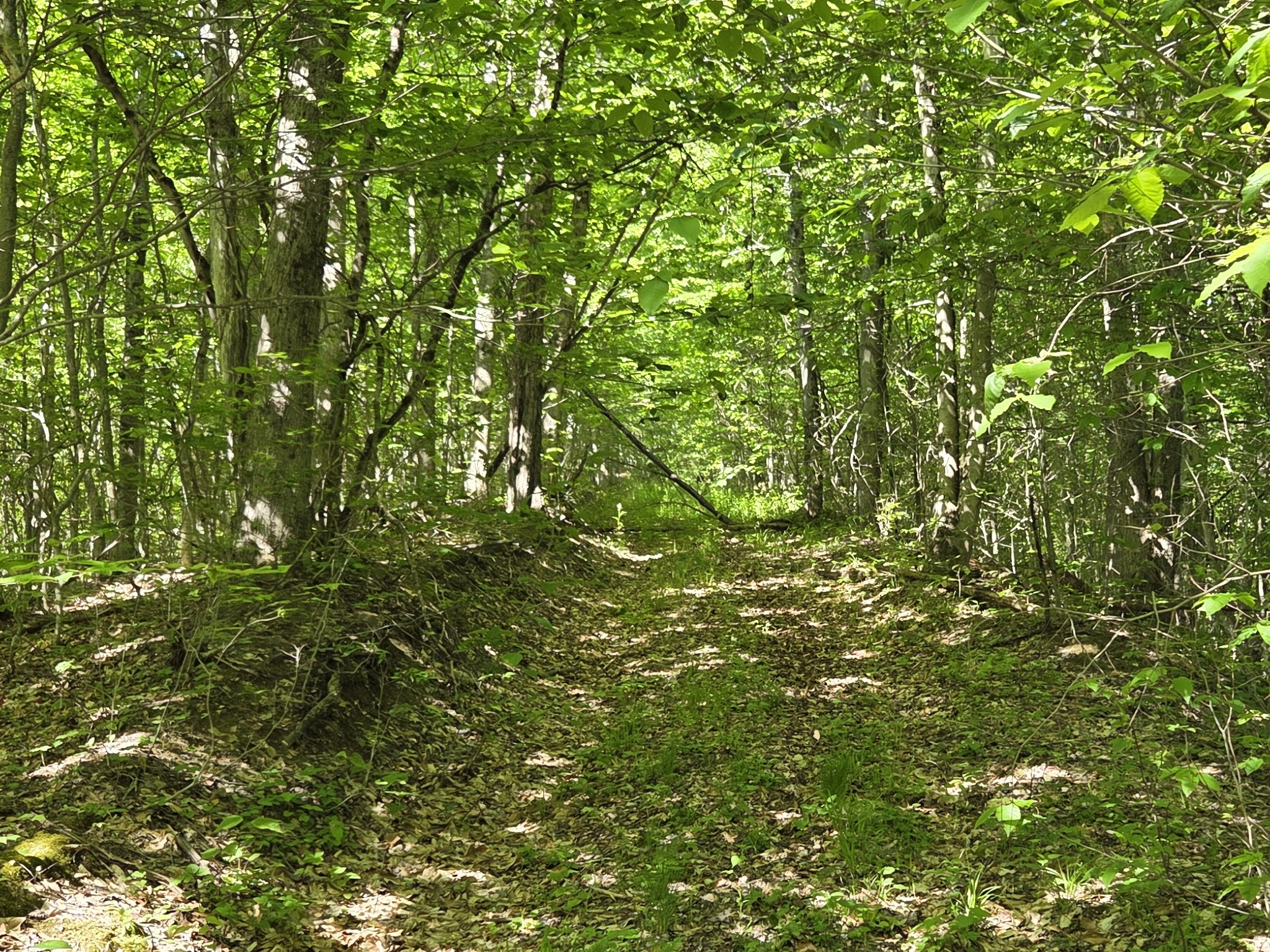 Listing Image 25