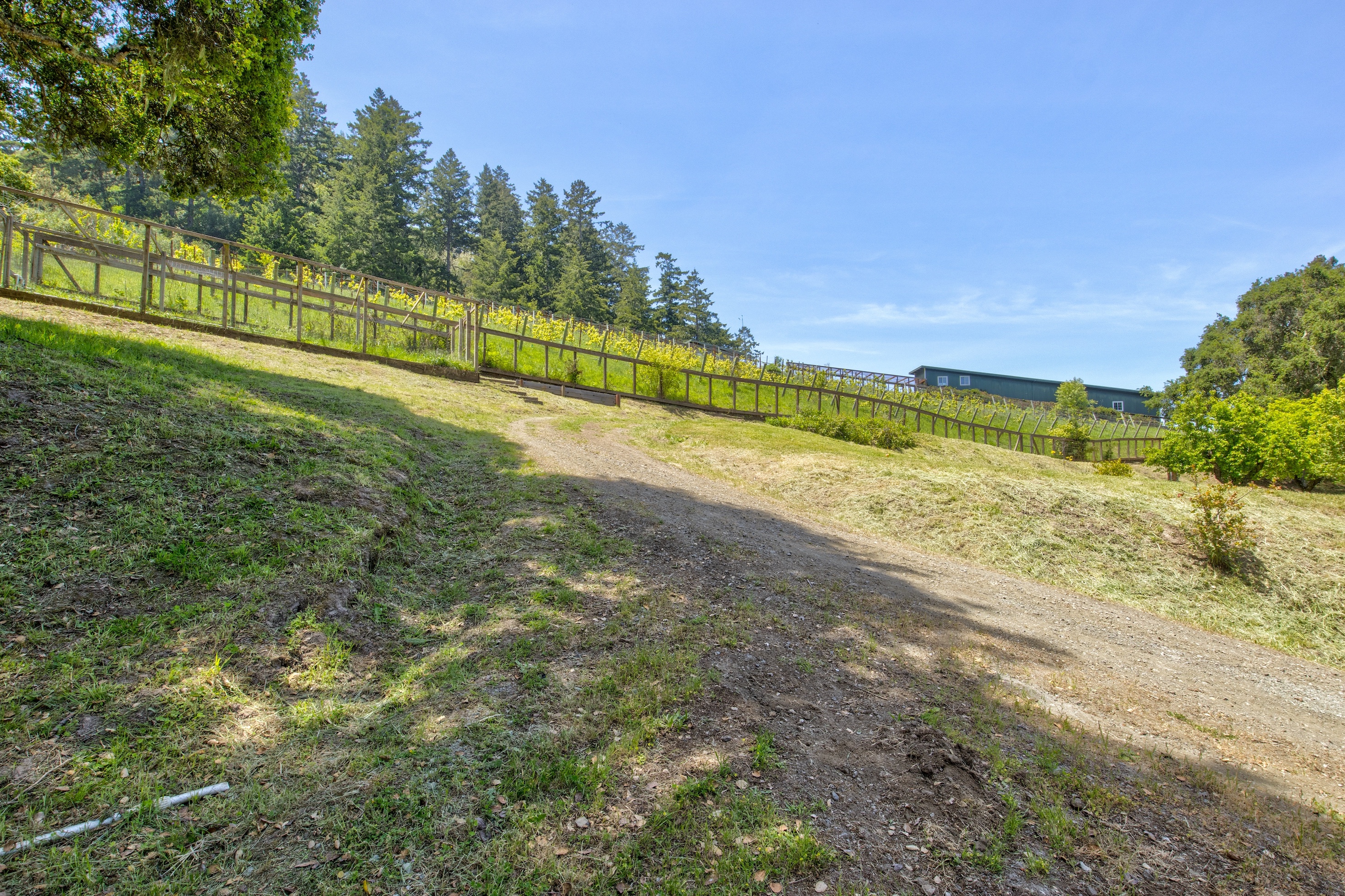 San Gregorio Creekside Farm