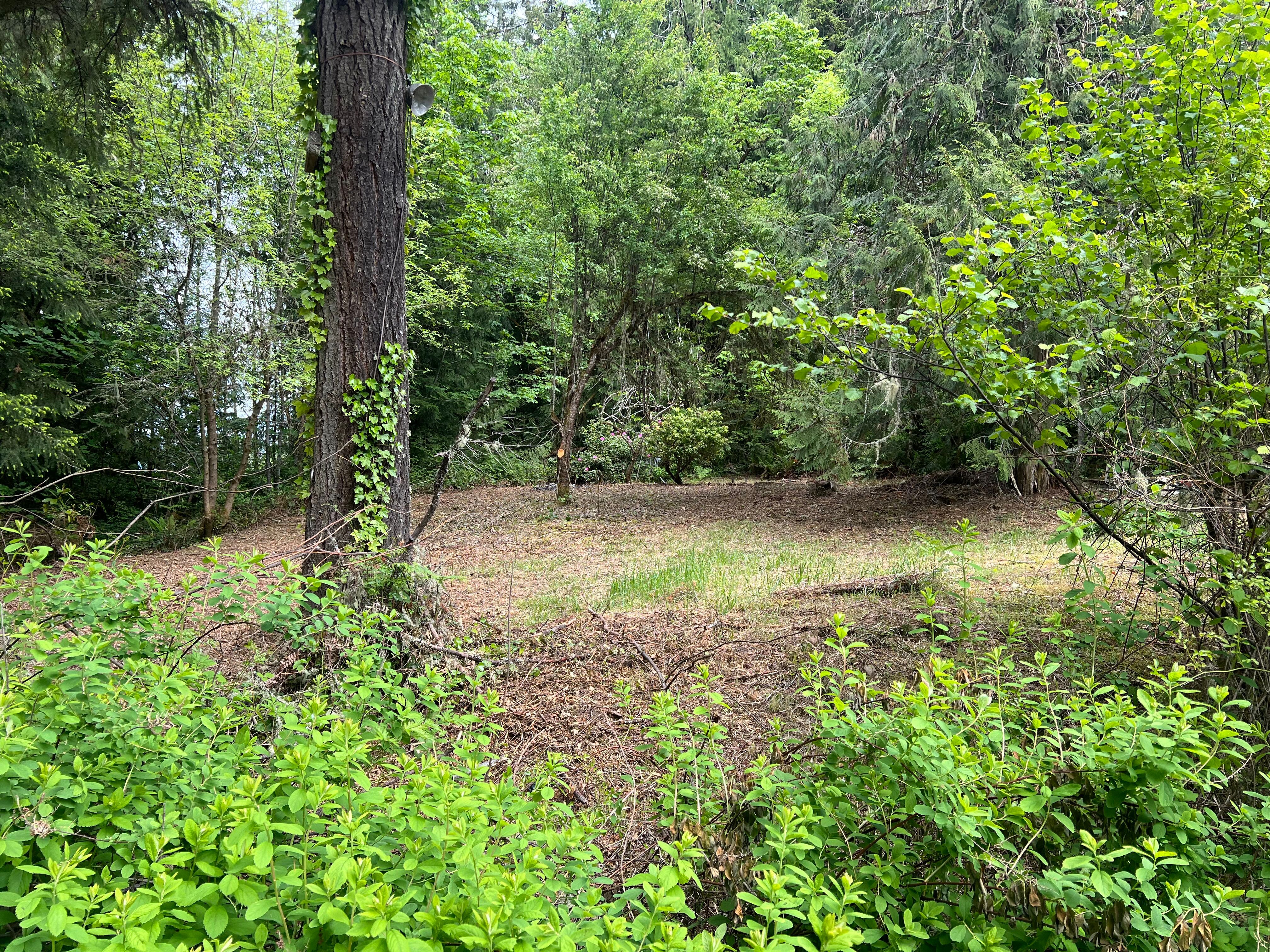83715 Peninsula Rd Fall Creek OR