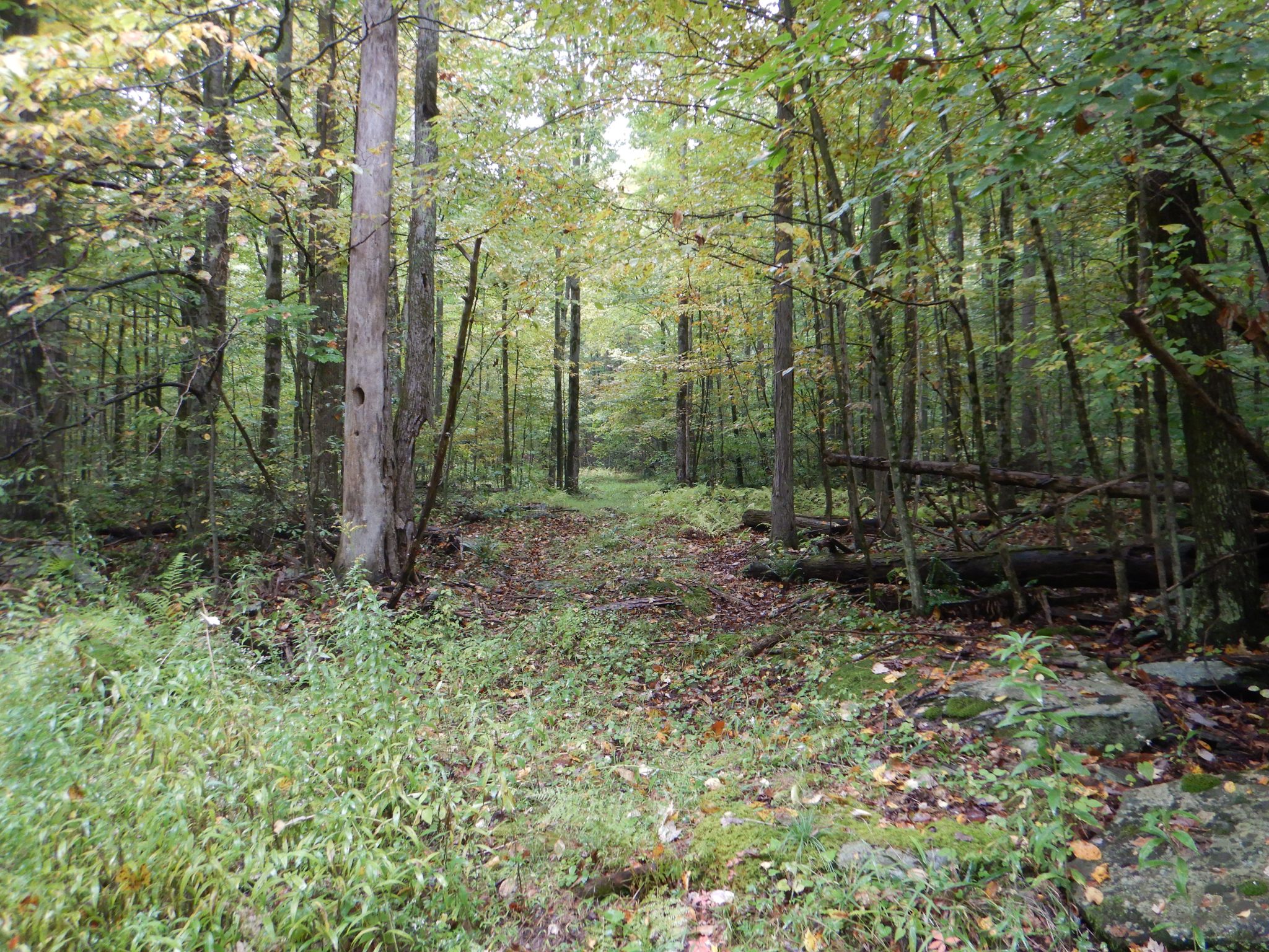 Listing Image 32