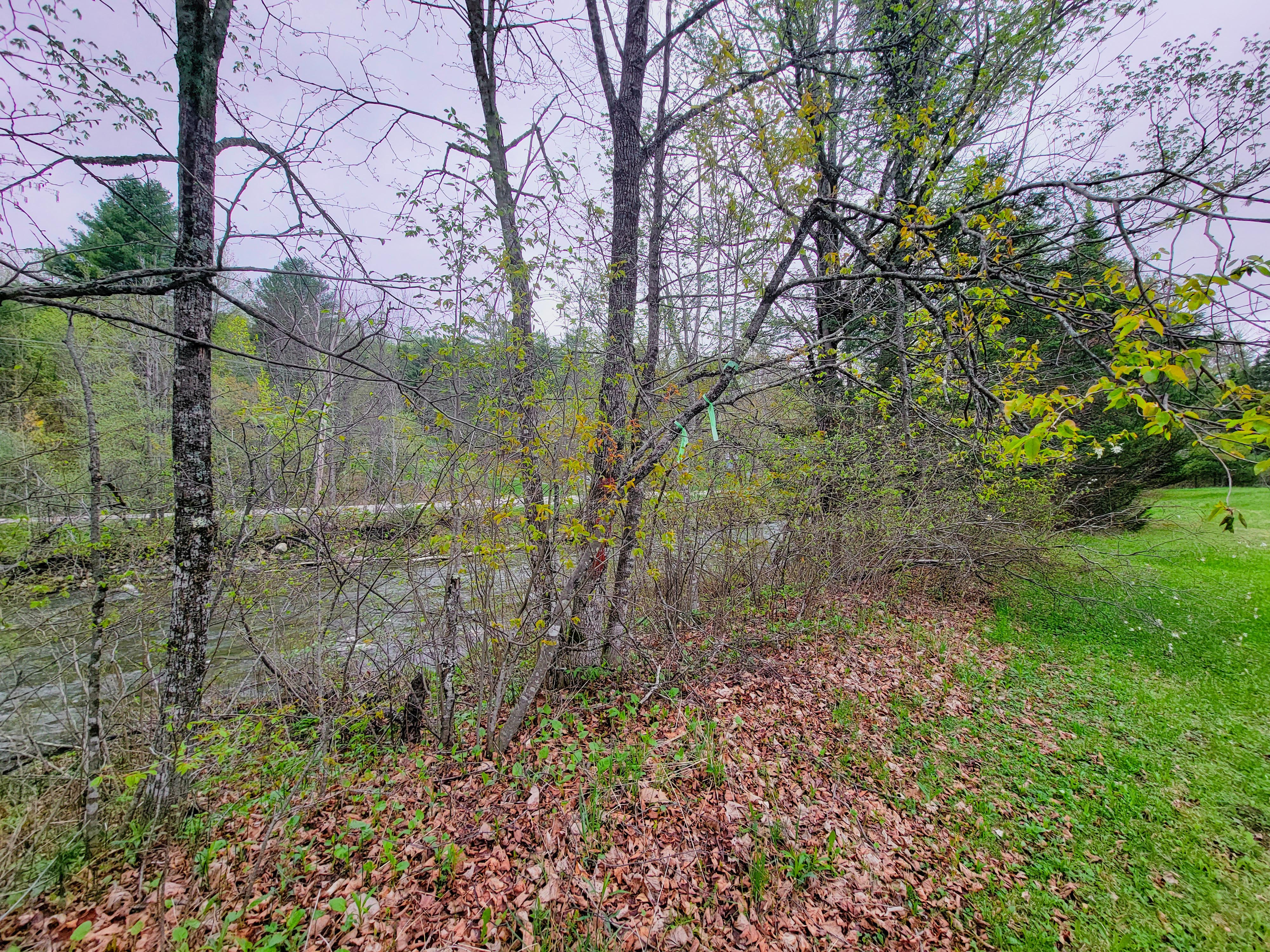 12 Meadowbrook Ln - Chelsea