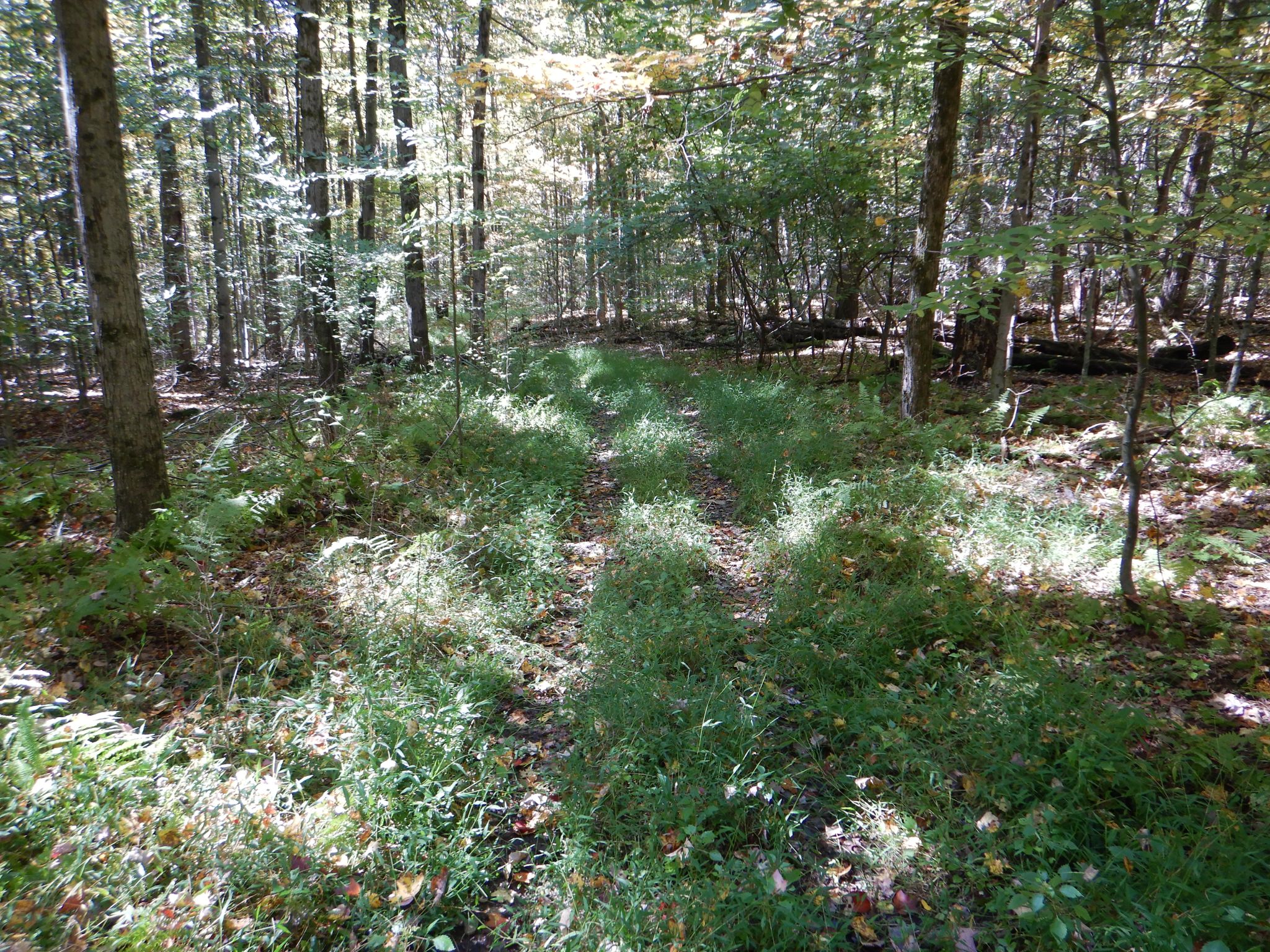 Listing Image 33