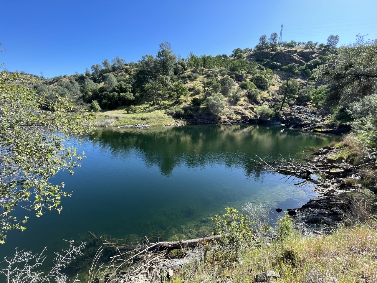 Listing Image 18