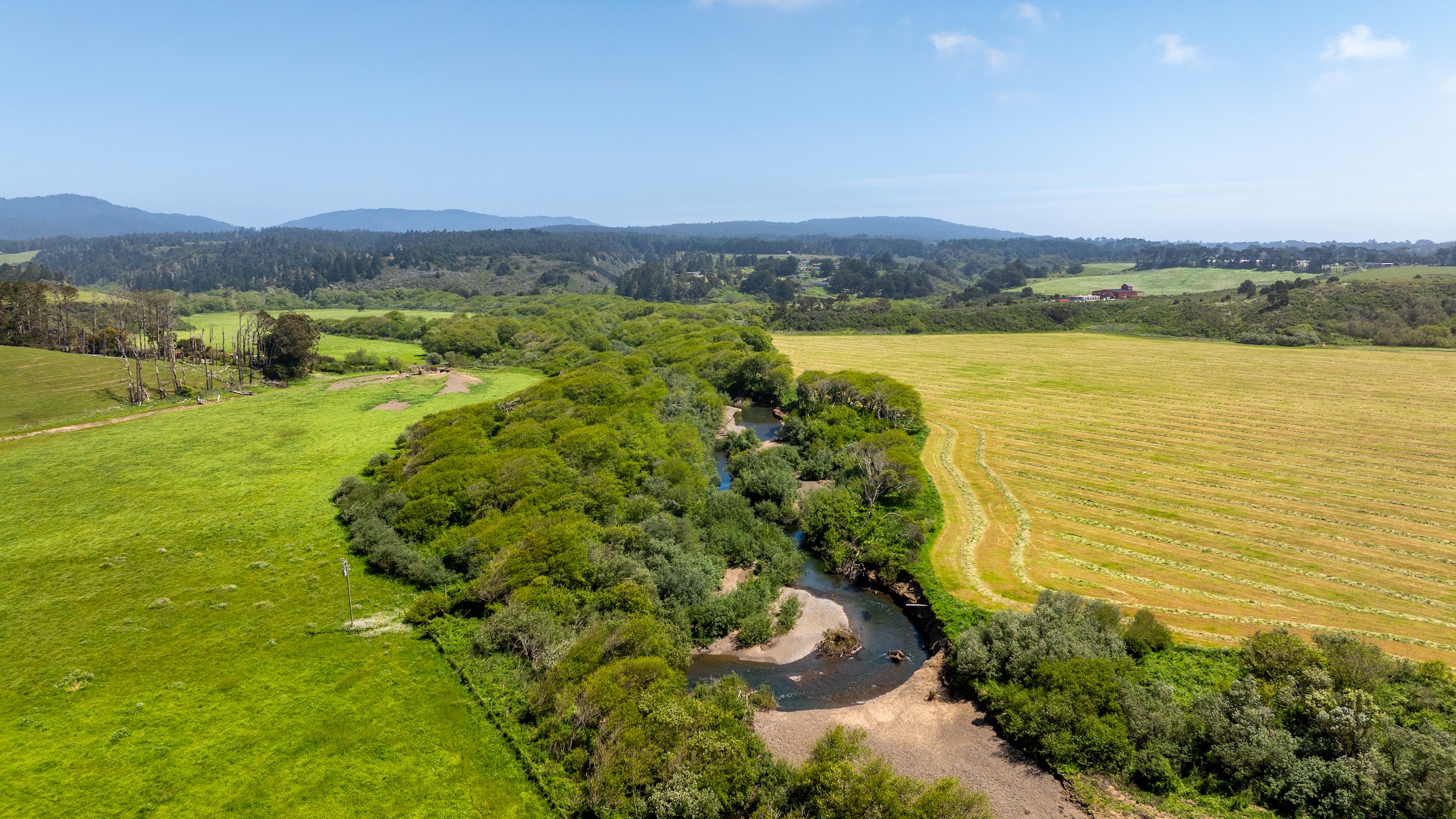 Listing Image 65